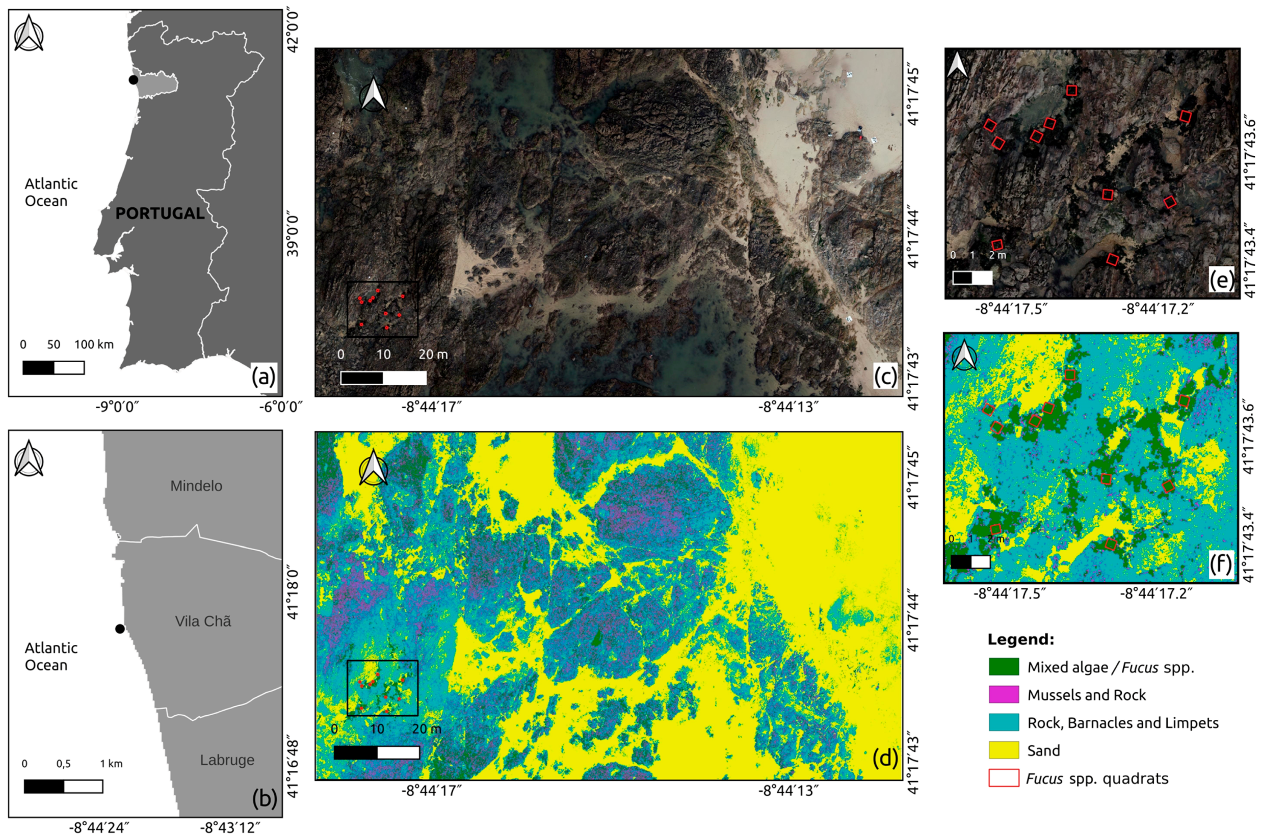 Remotesensing 15 03359 g005
