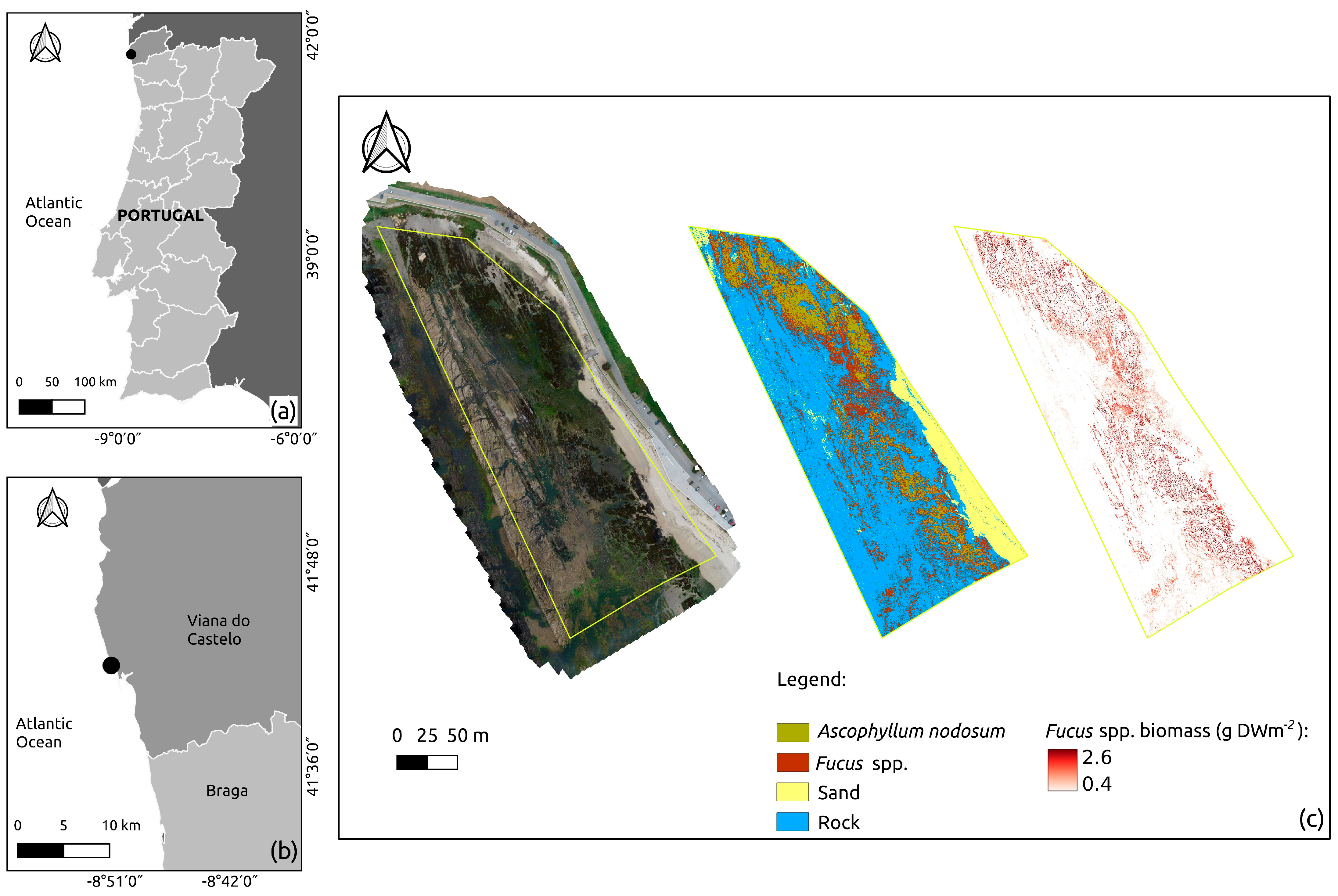 Remotesensing 15 03359 g006