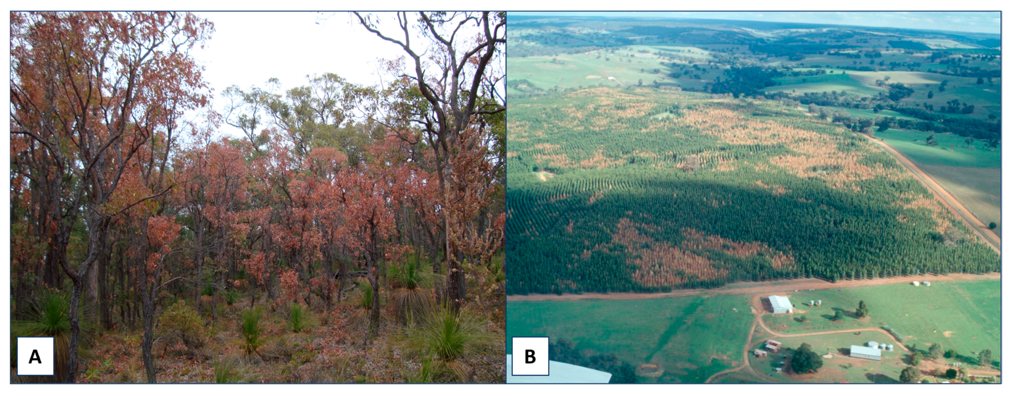 Remotesensing 15 03360 g001