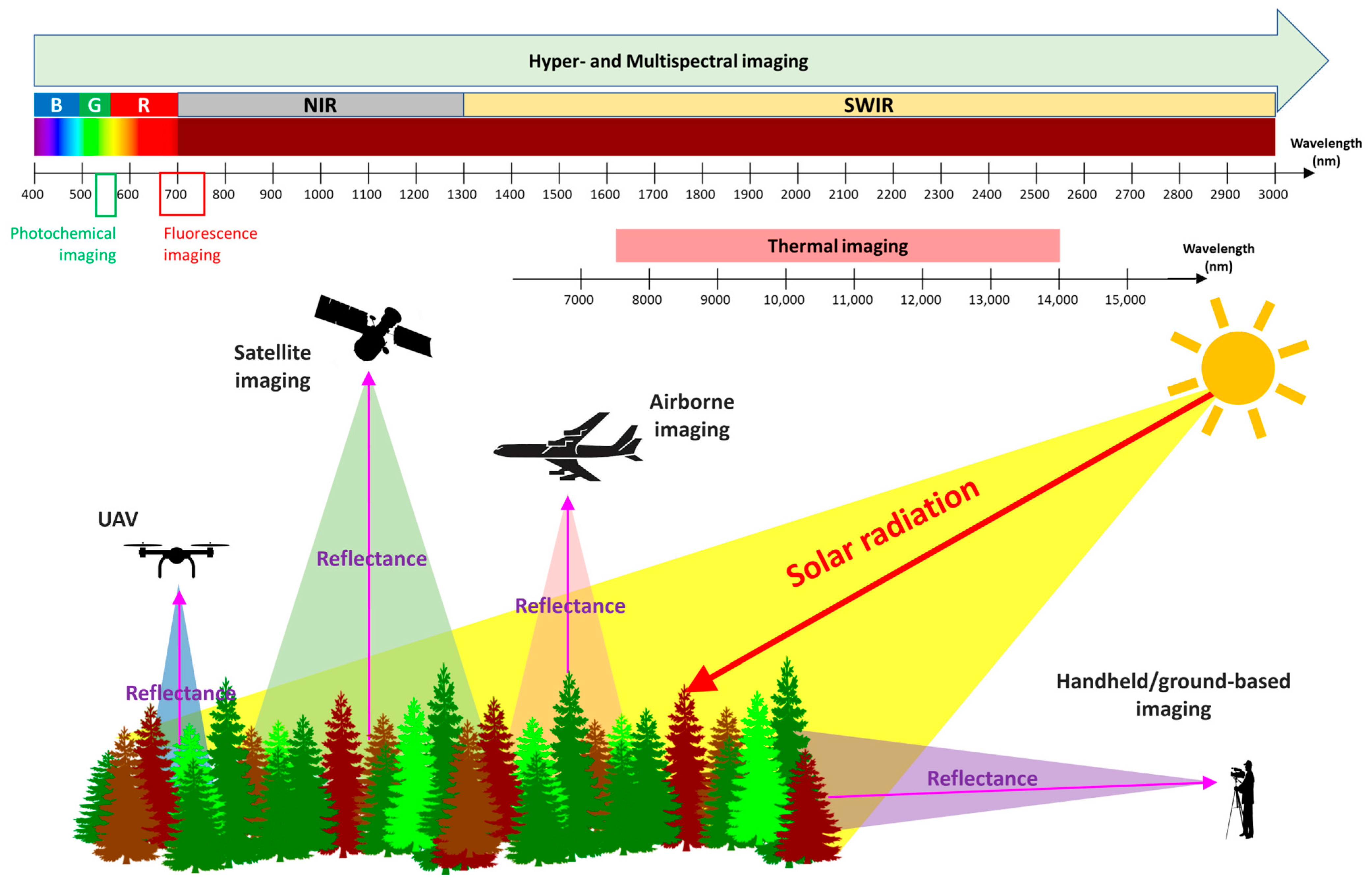 Remotesensing 15 03360 g002