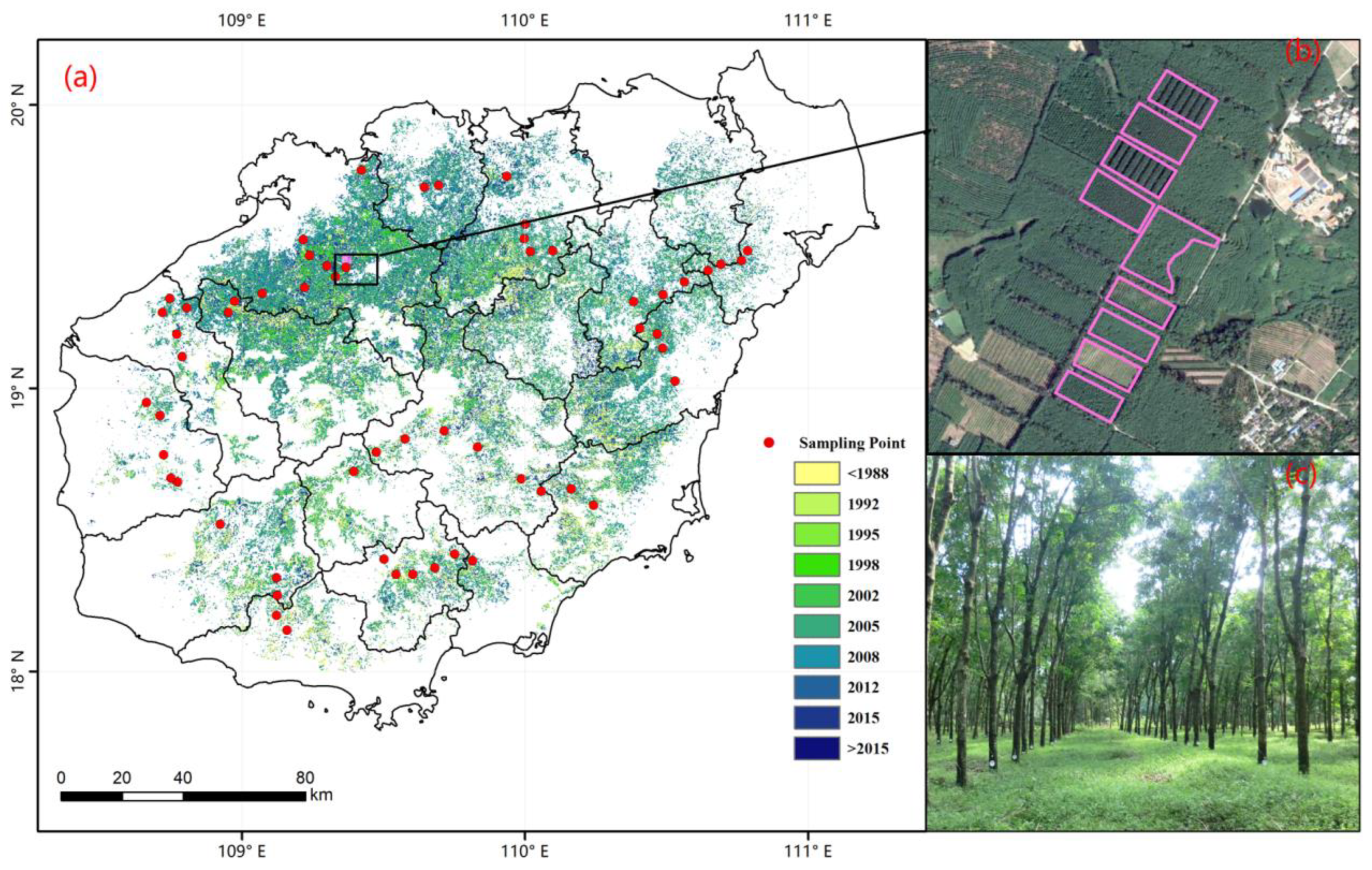 Remotesensing 15 03447 g001