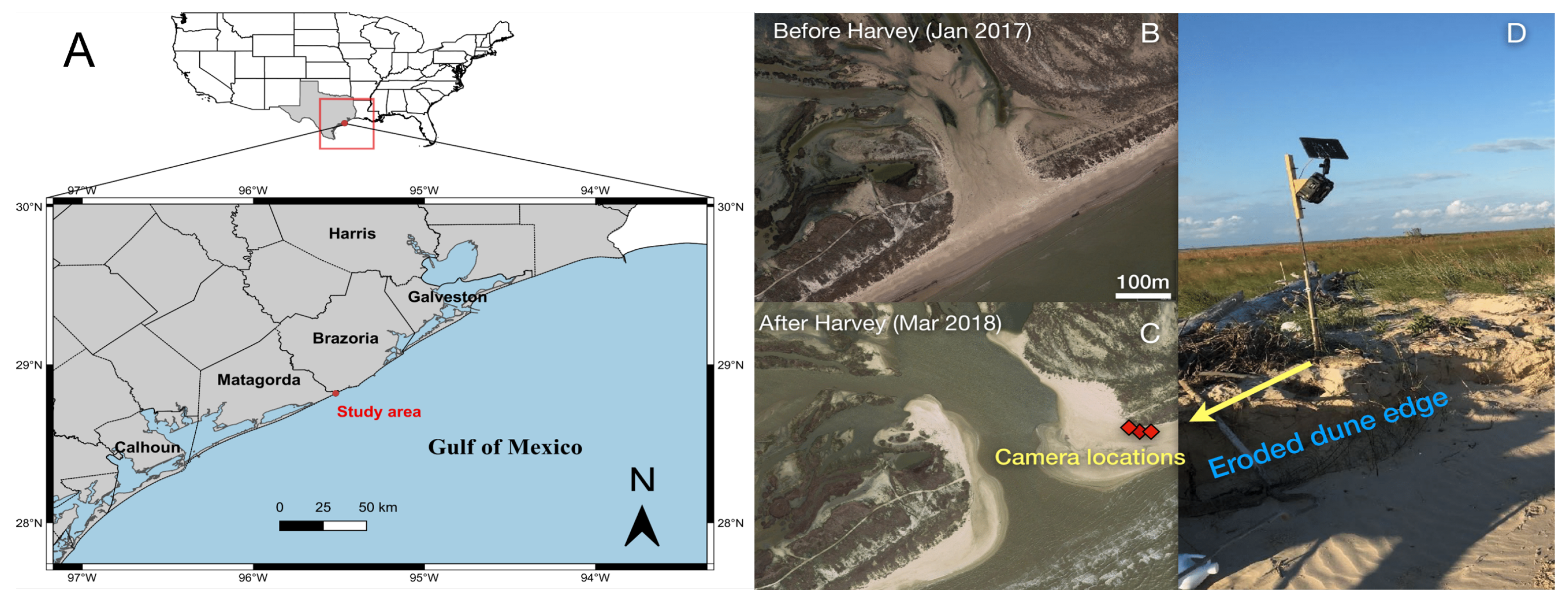 Remotesensing 15 03485 g001