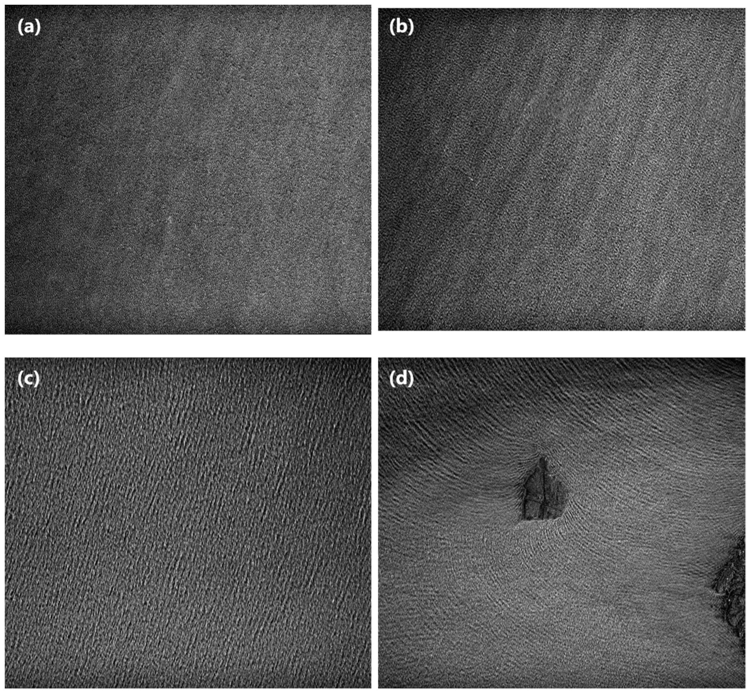 Remotesensing 15 03486 g003