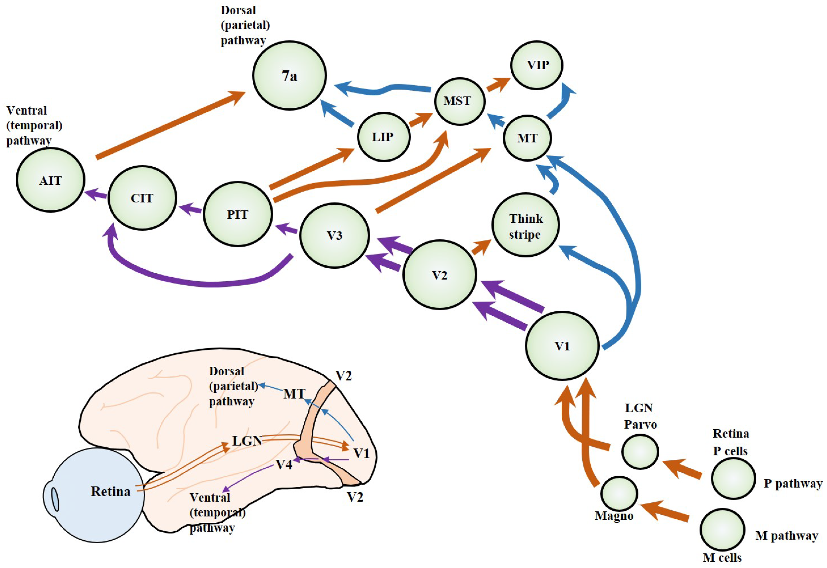 Remotesensing 15 03545 g003