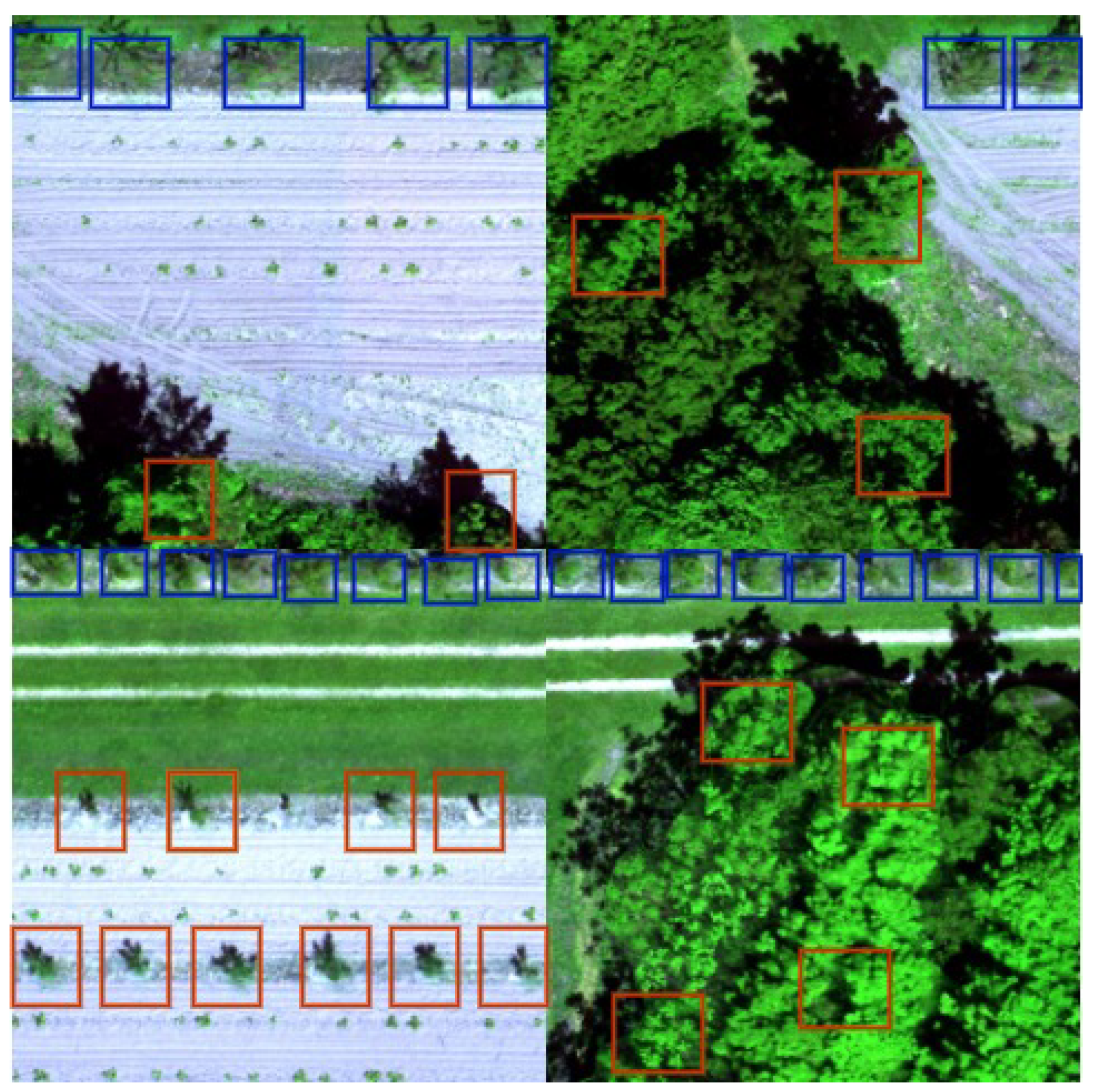 Remotesensing 15 03558 g004