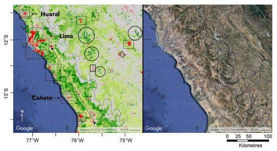 Remotesensing 15 03628 g005