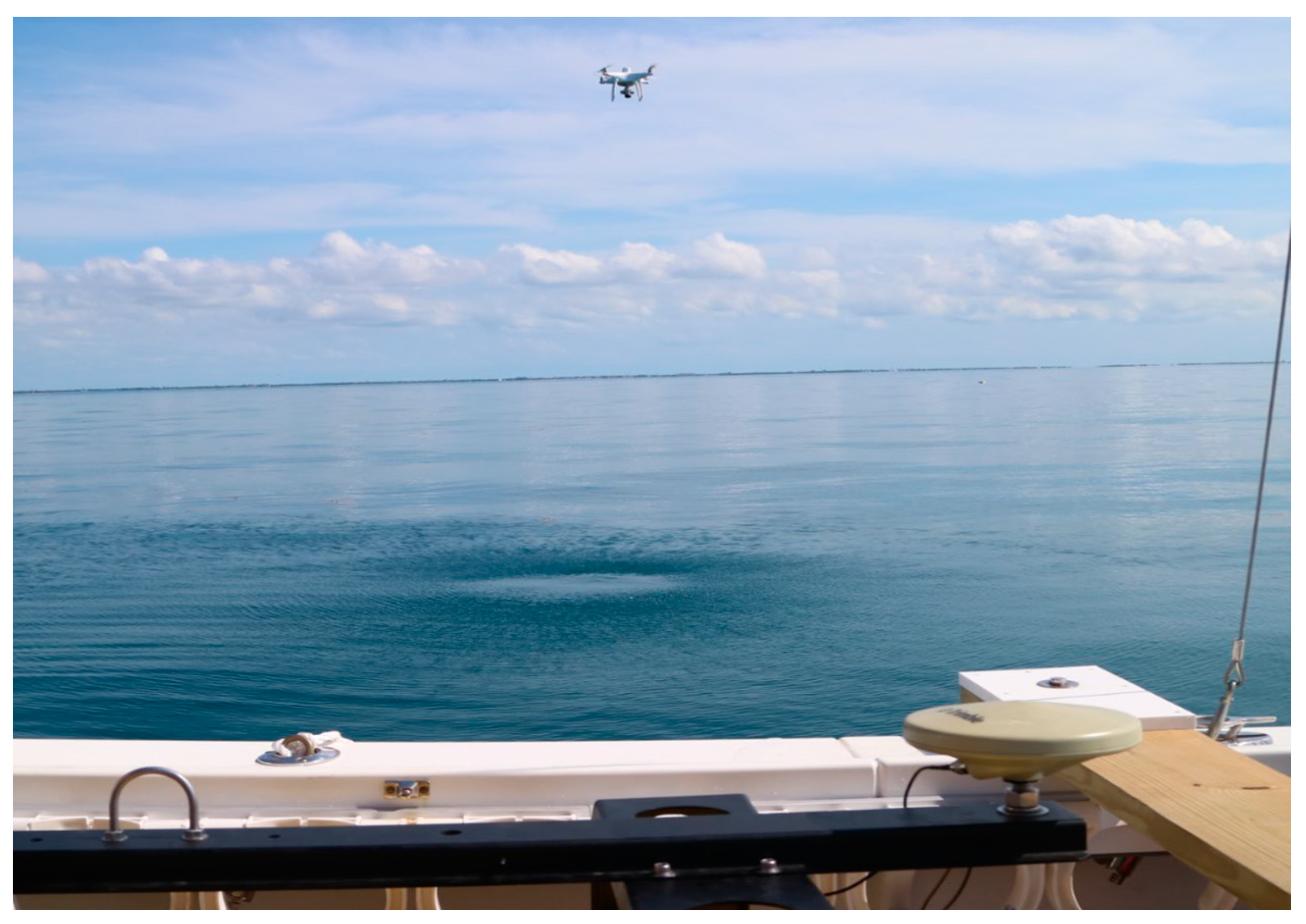 Remotesensing 15 03635 g005