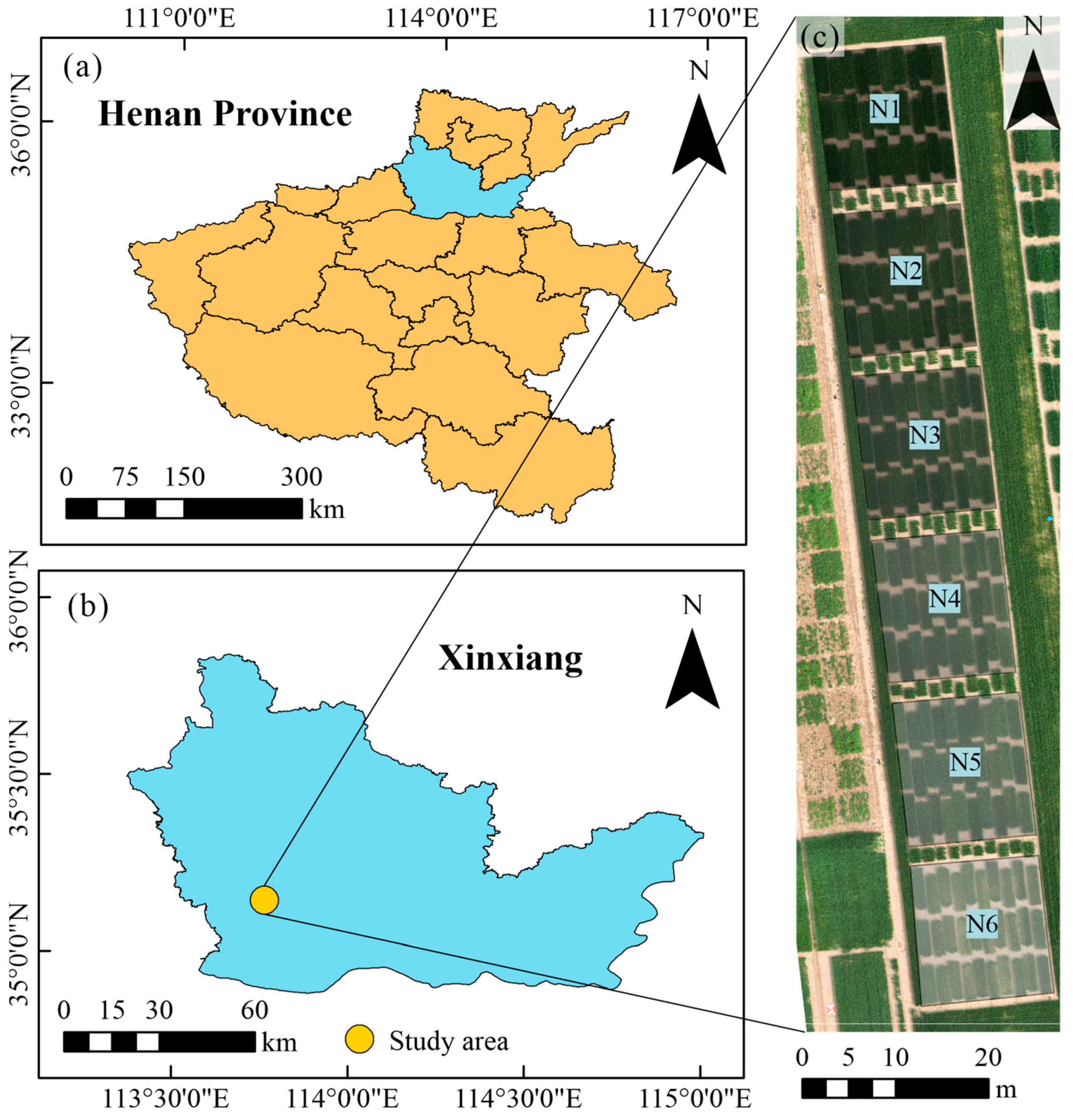 Remotesensing 15 03653 g001