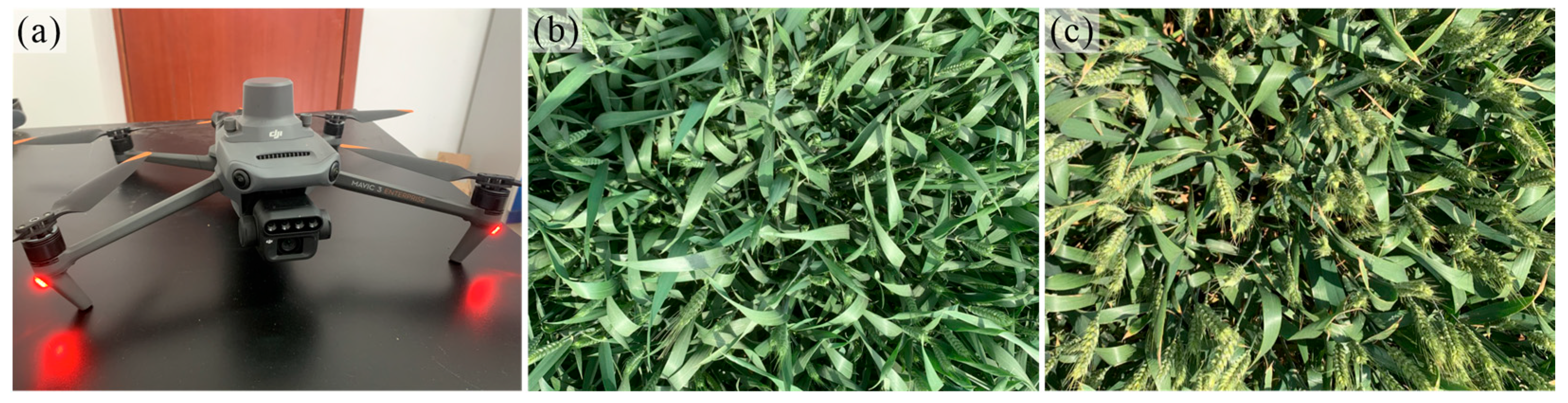 Remotesensing 15 03653 g002