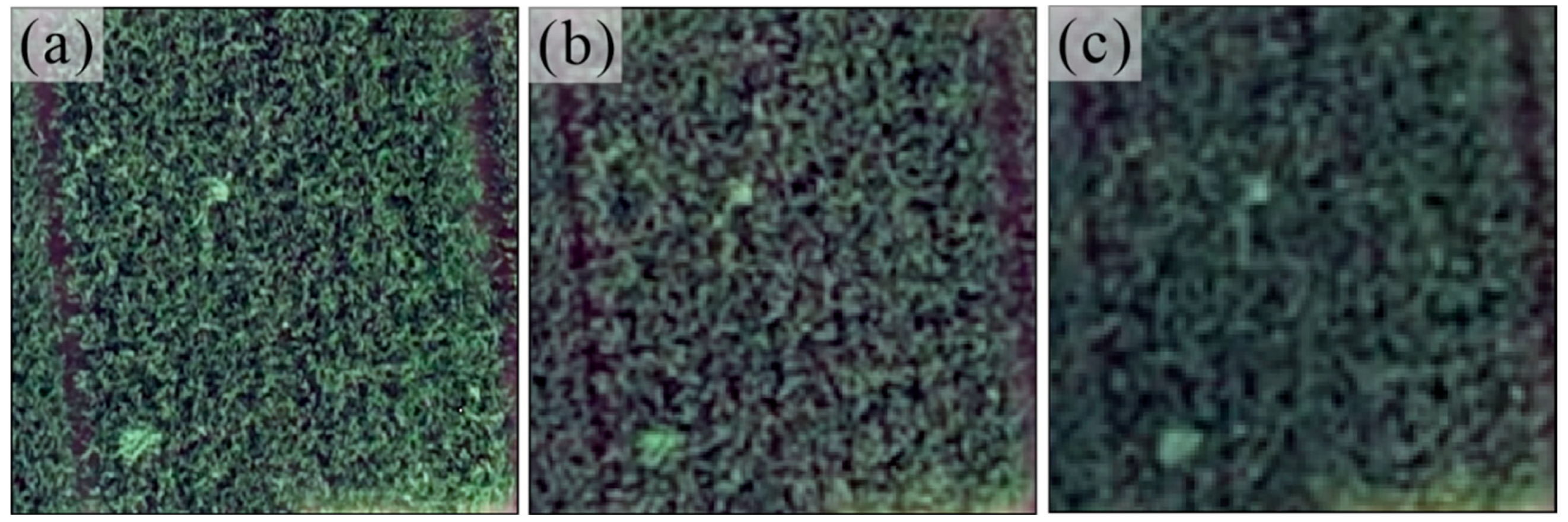 Remotesensing 15 03653 g010