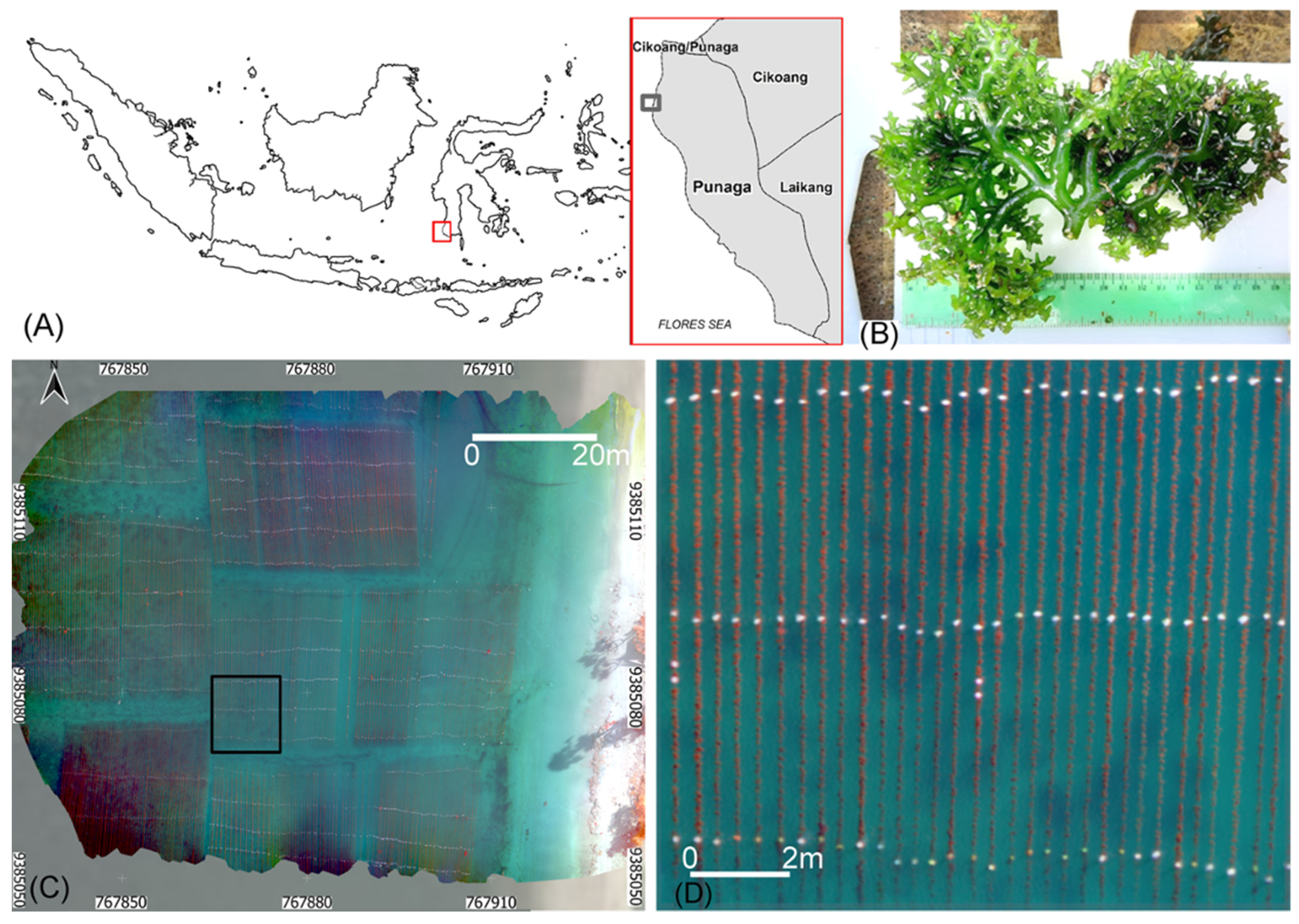 Remotesensing 15 03674 g001