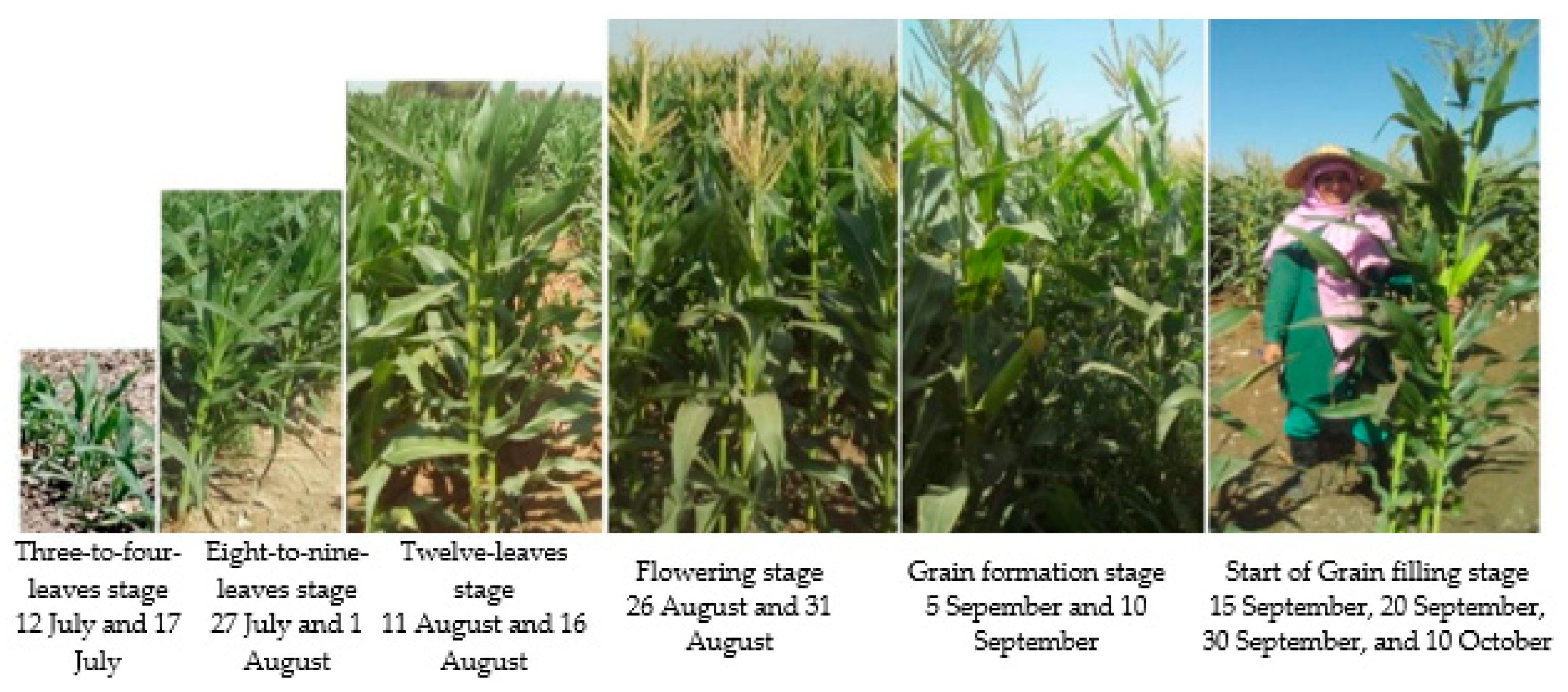 Remotesensing 15 03690 g002