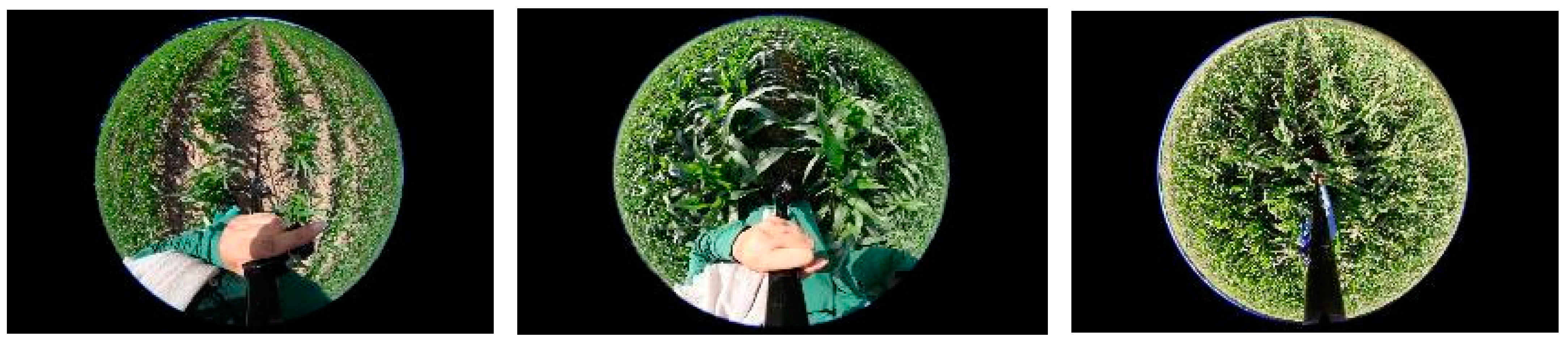 Remotesensing 15 03690 g003