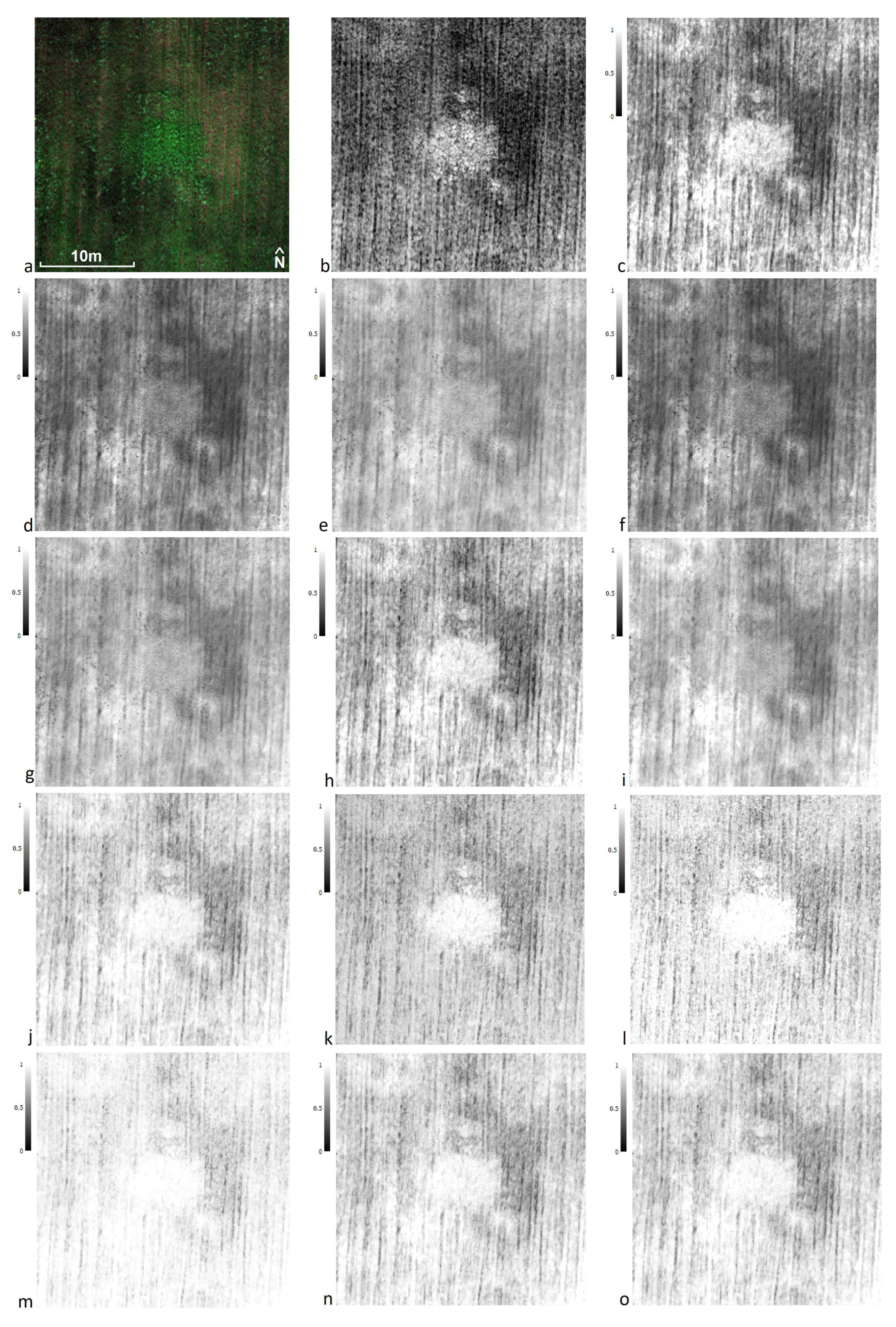 Remotesensing 15 03843 g009