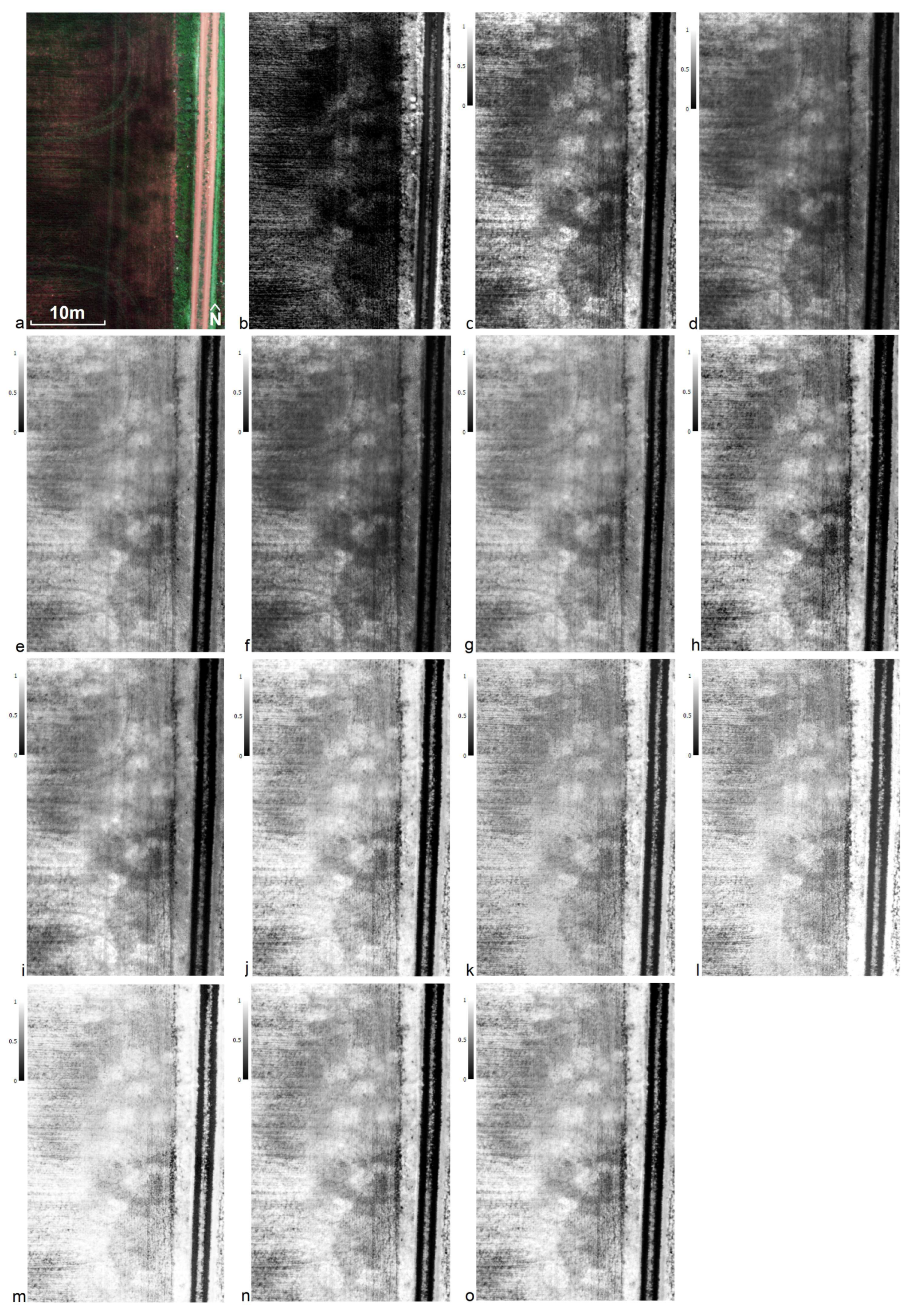 Remotesensing 15 03843 g010