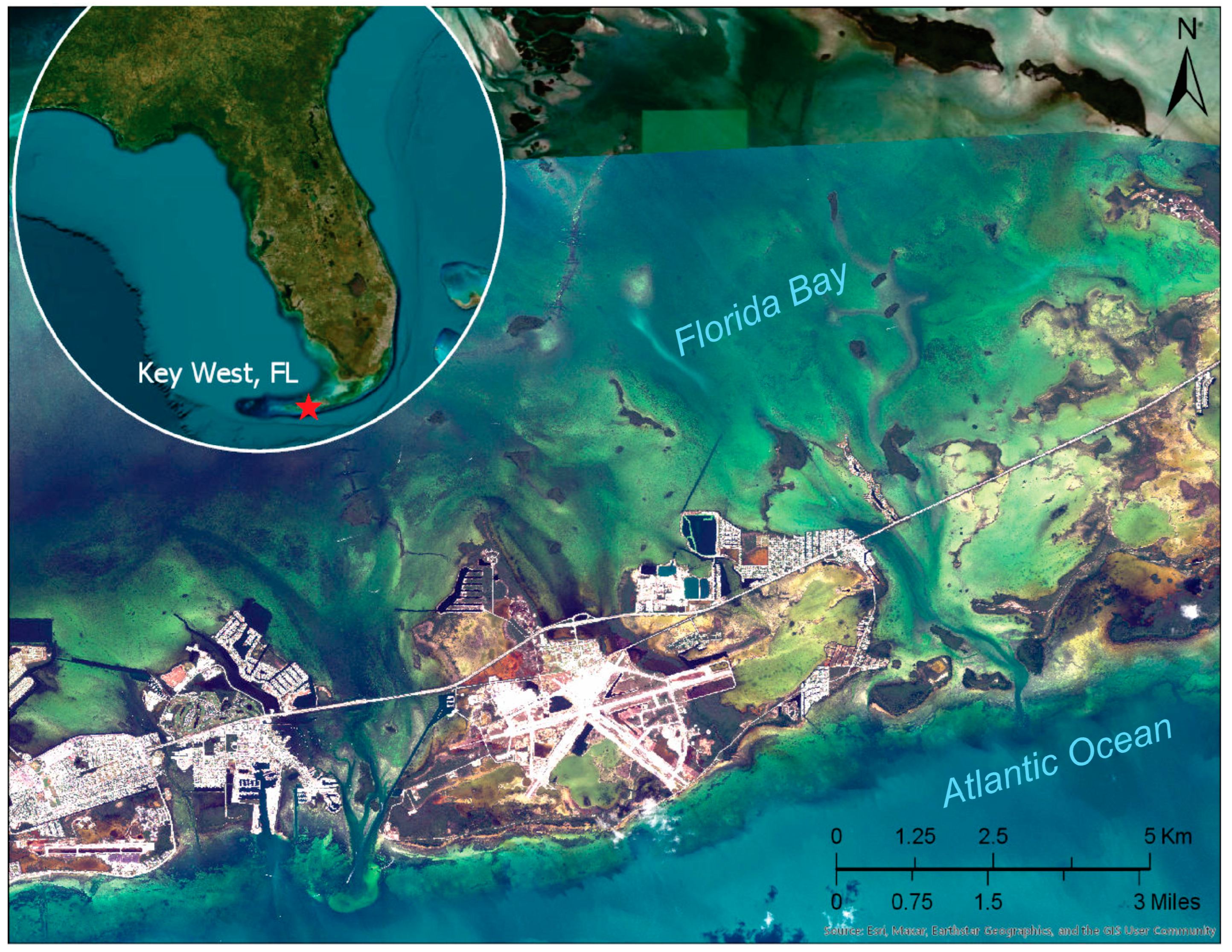 Remotesensing 15 03950 g001 Remotesensing 15 03950 g001