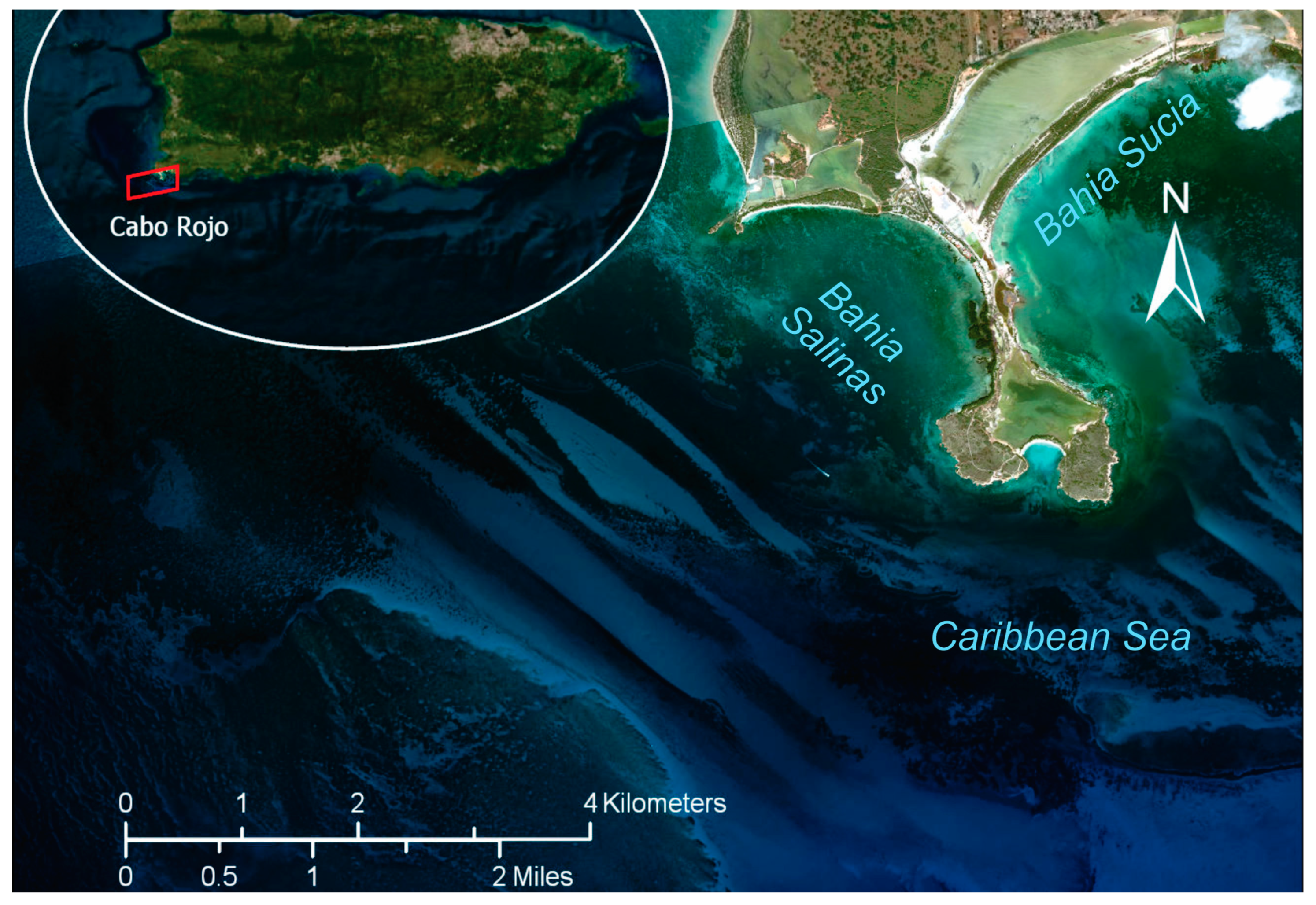 Remotesensing 15 03950 g002 Remotesensing 15 03950 g002
