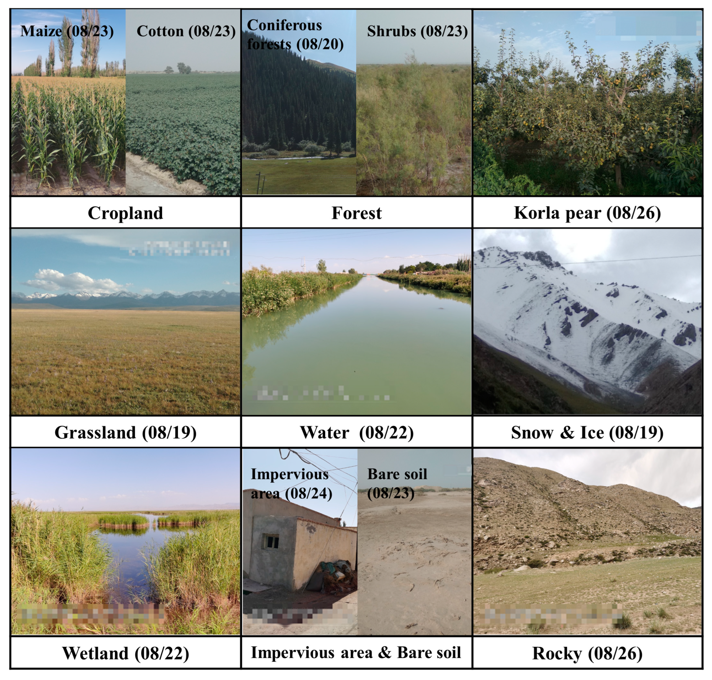 Remotesensing 15 03958 g003