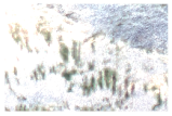 Remotesensing 15 03969 i001