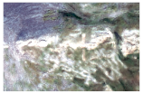 Remotesensing 15 03969 i003