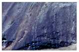 Remotesensing 15 03969 i005