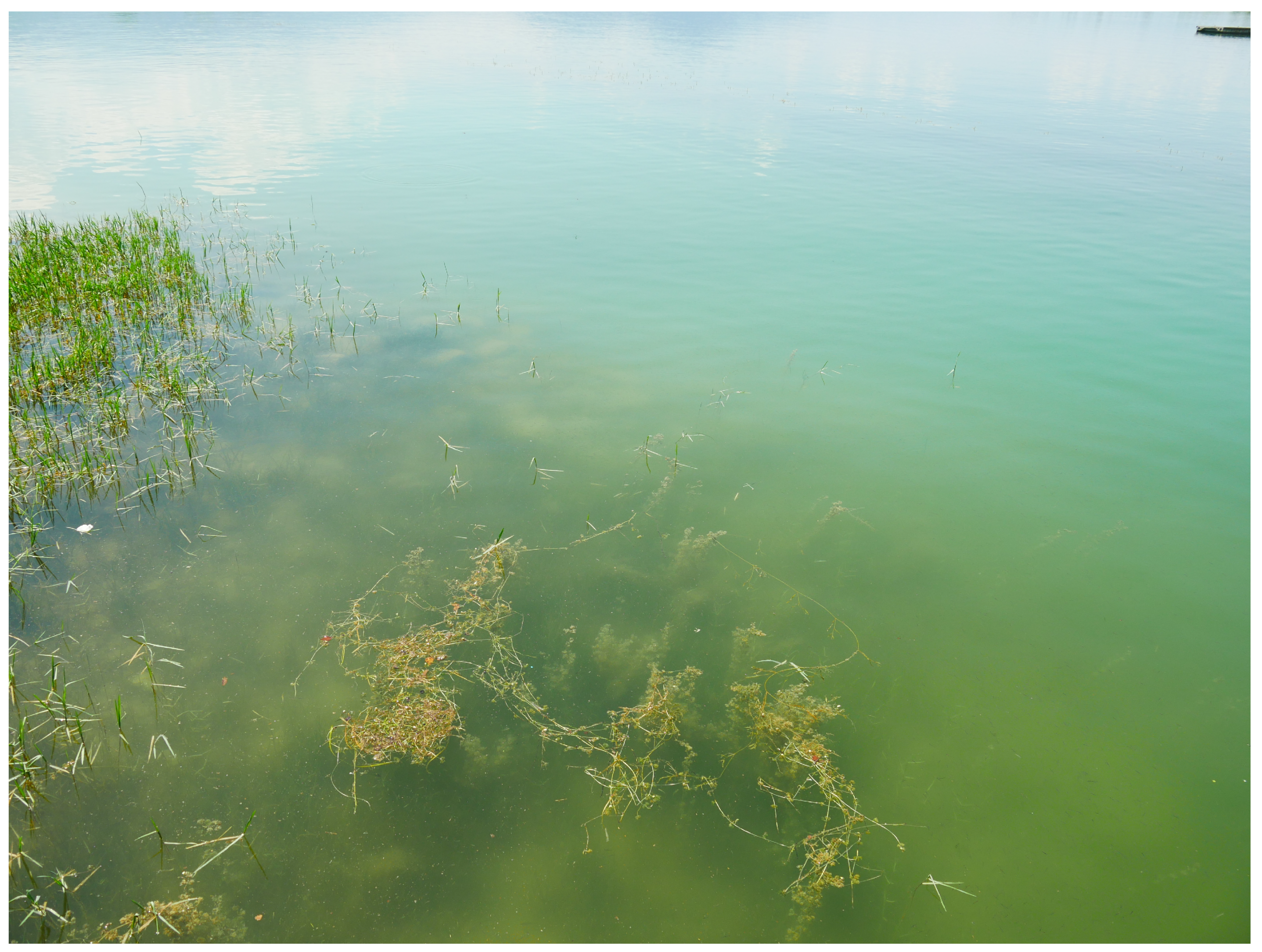 Remotesensing 15 04001 g002