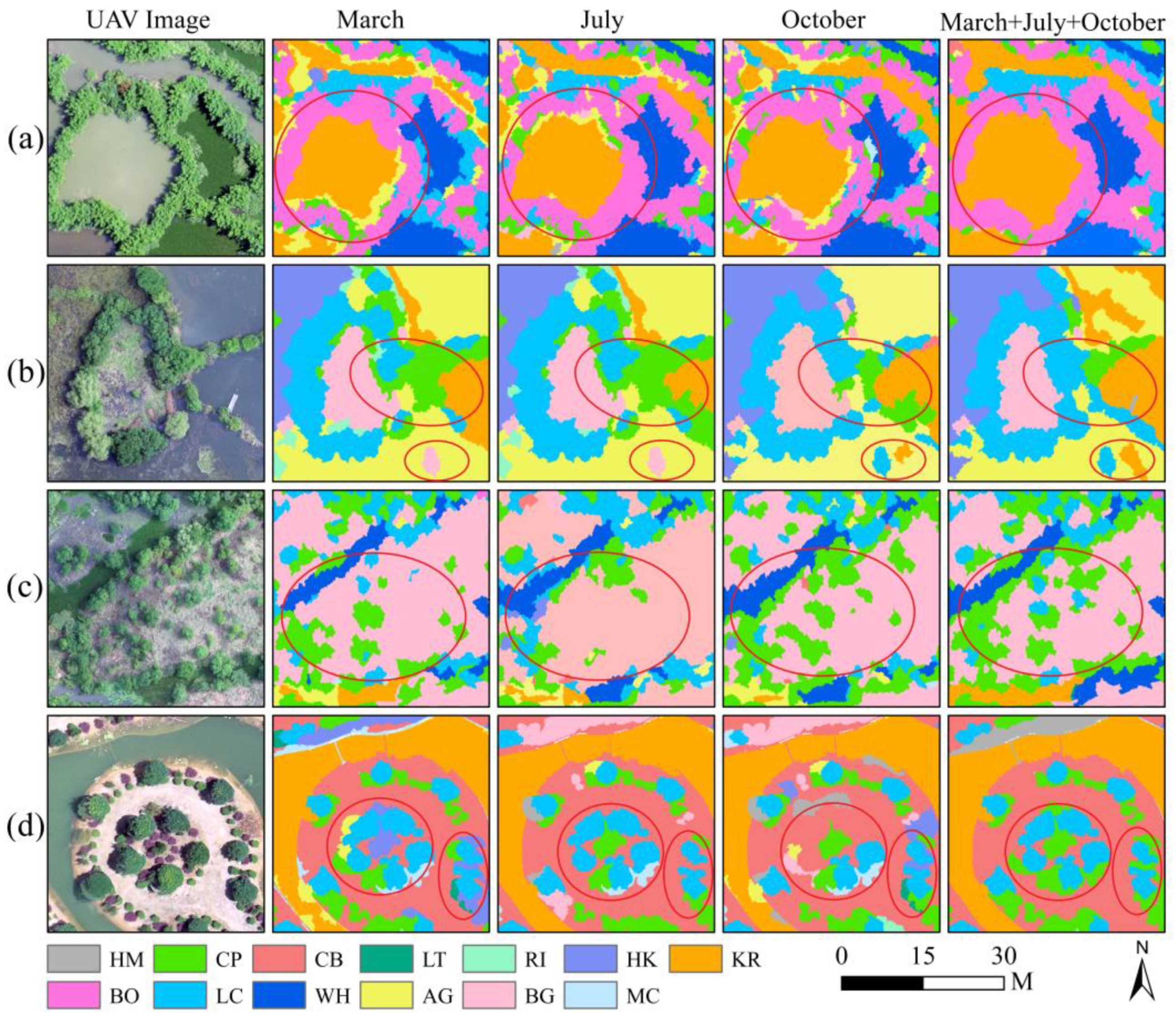 Remotesensing 15 04003 g008
