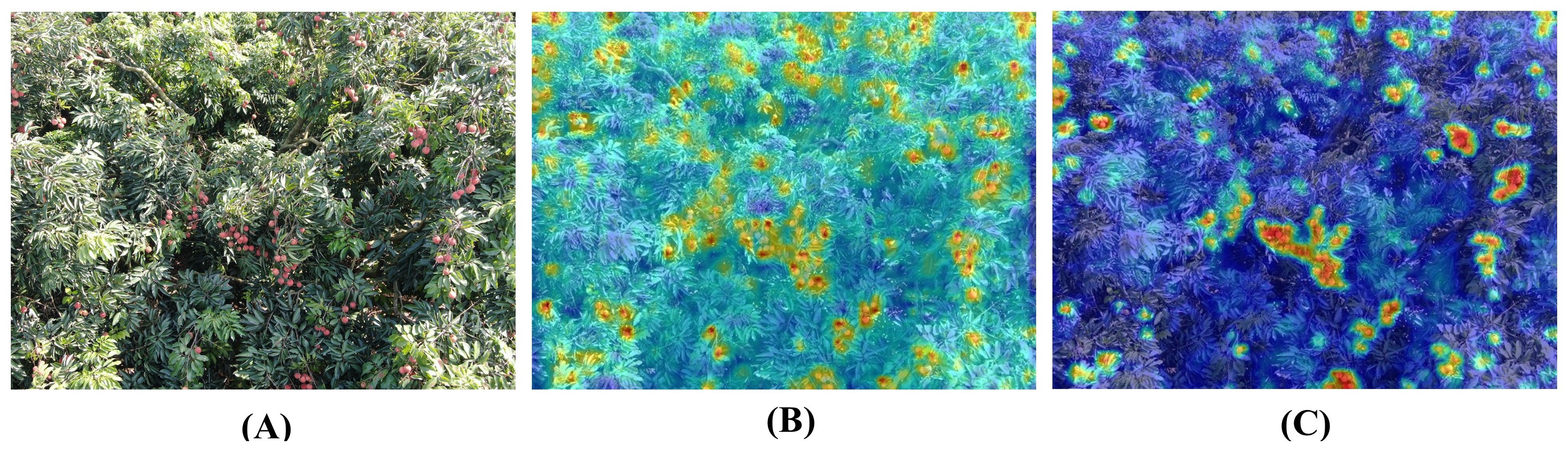 Remotesensing 15 04017 g007