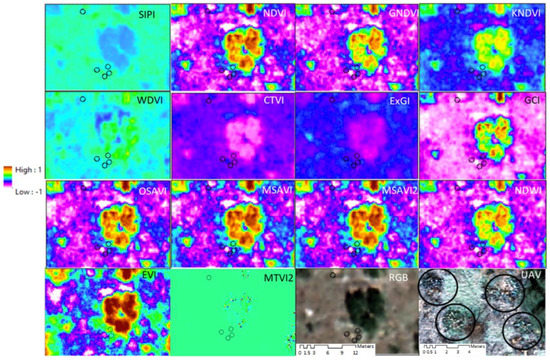 Remotesensing 15 04033 g0a1
