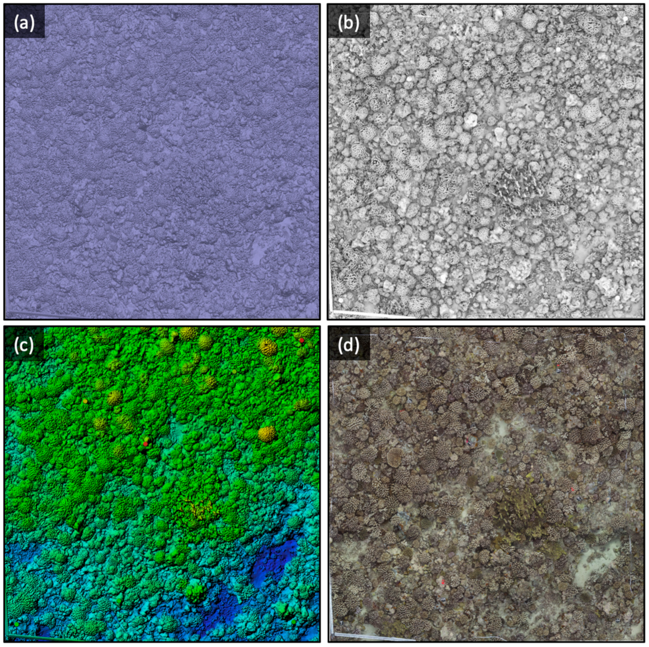 Remotesensing 15 04077 g003 Remotesensing 15 04077 g003