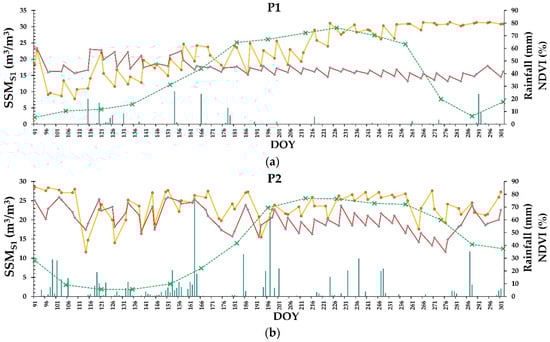 Remotesensing 15 04081 g004a