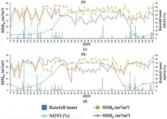 Remotesensing 15 04081 g004b