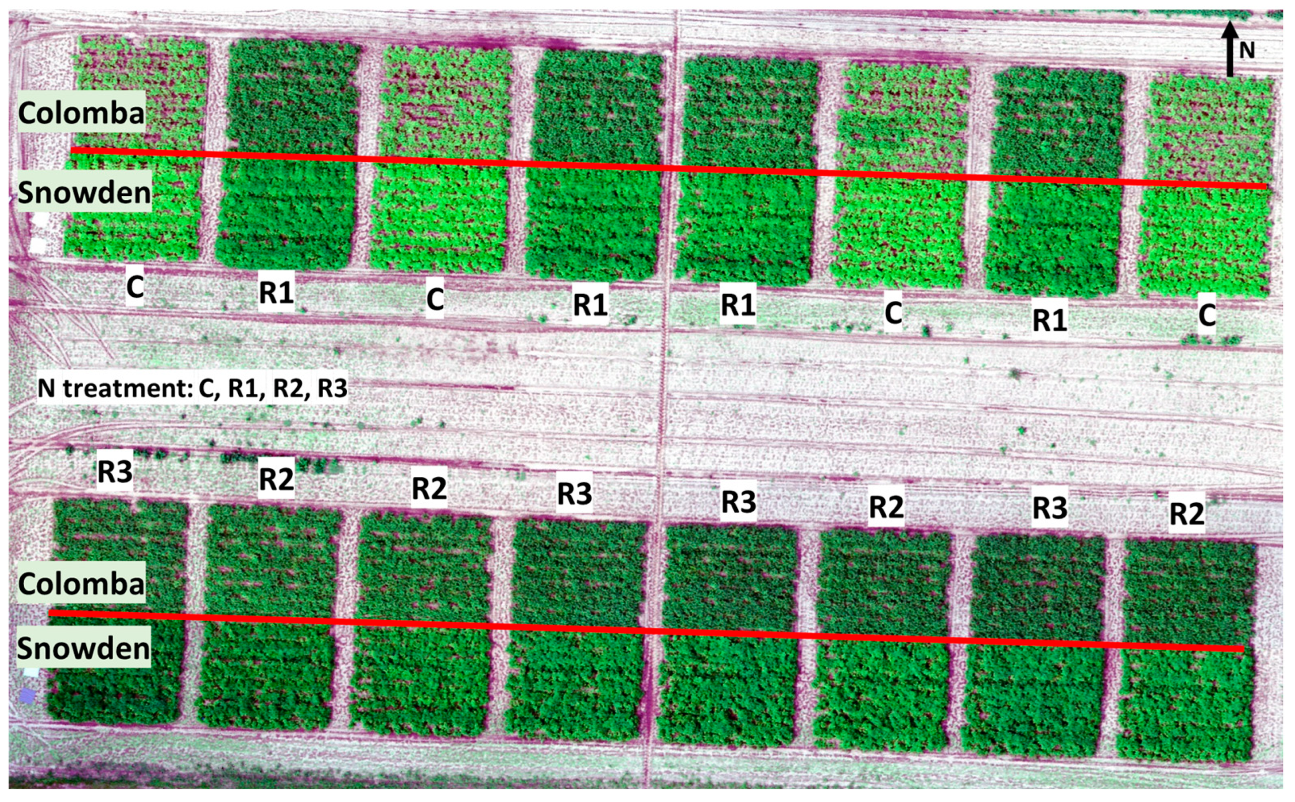 Remotesensing 15 04108 g001 Remotesensing 15 04108 g001