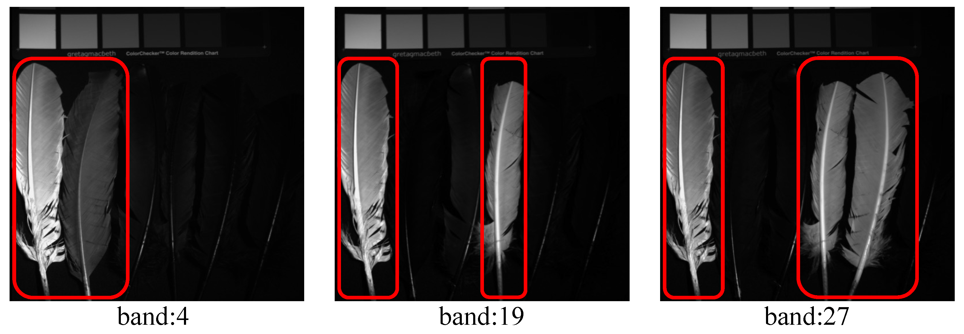 Remotesensing 15 04131 g001 Remotesensing 15 04131 g001
