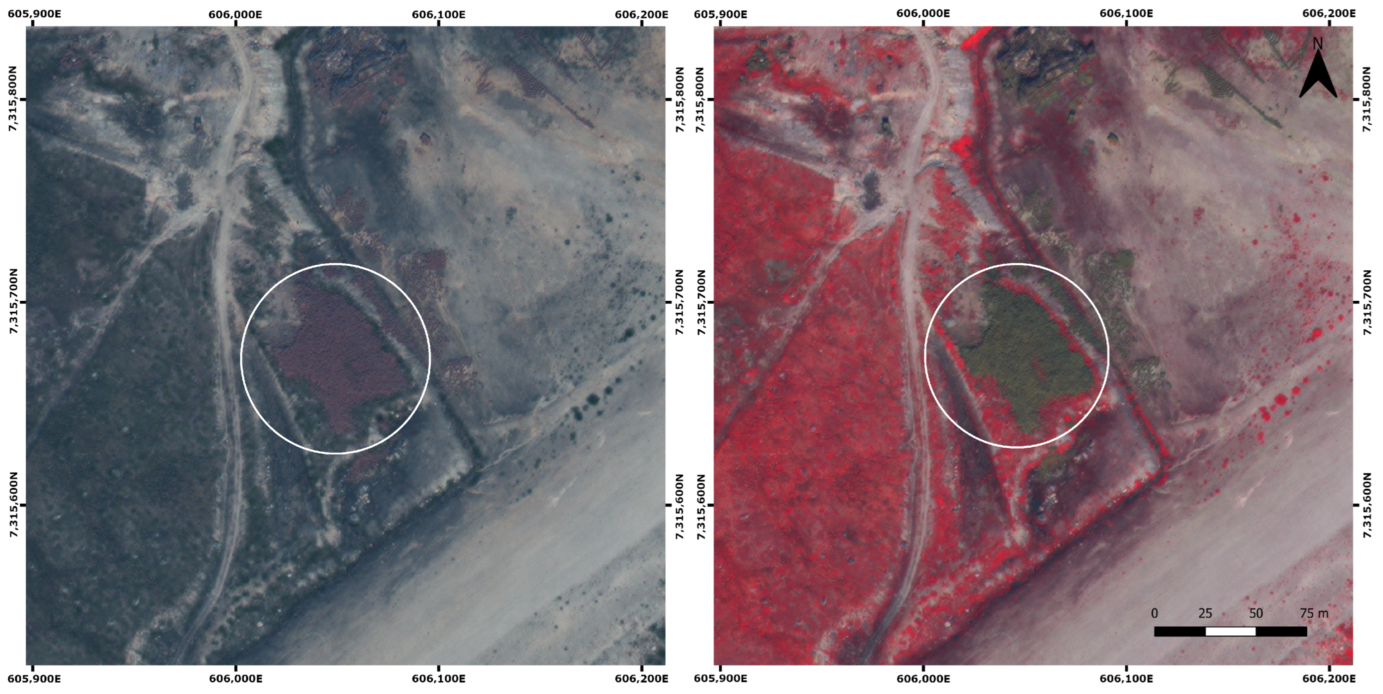 Remotesensing 15 04323 g009