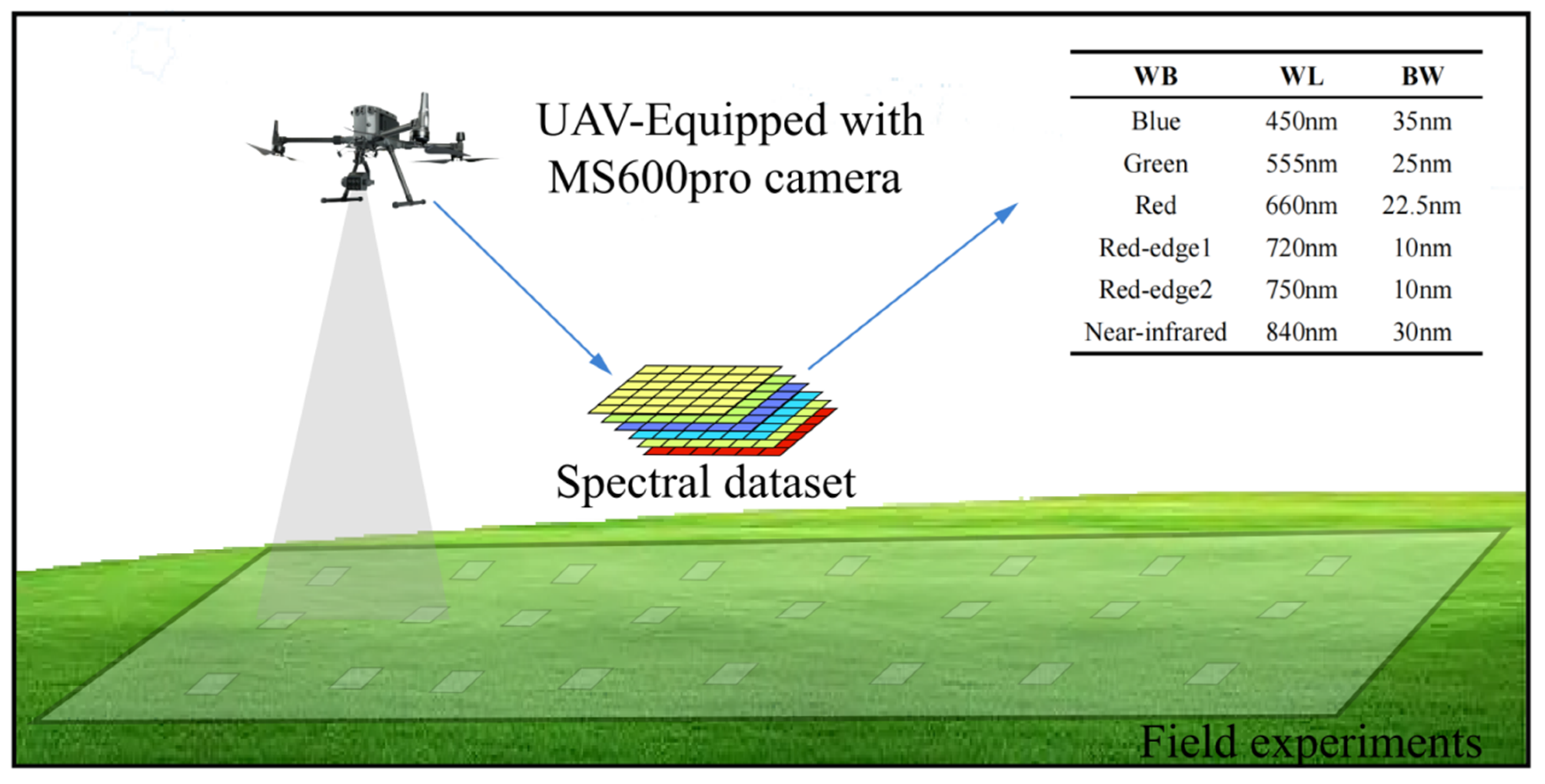 Remotesensing 15 04352 g002
