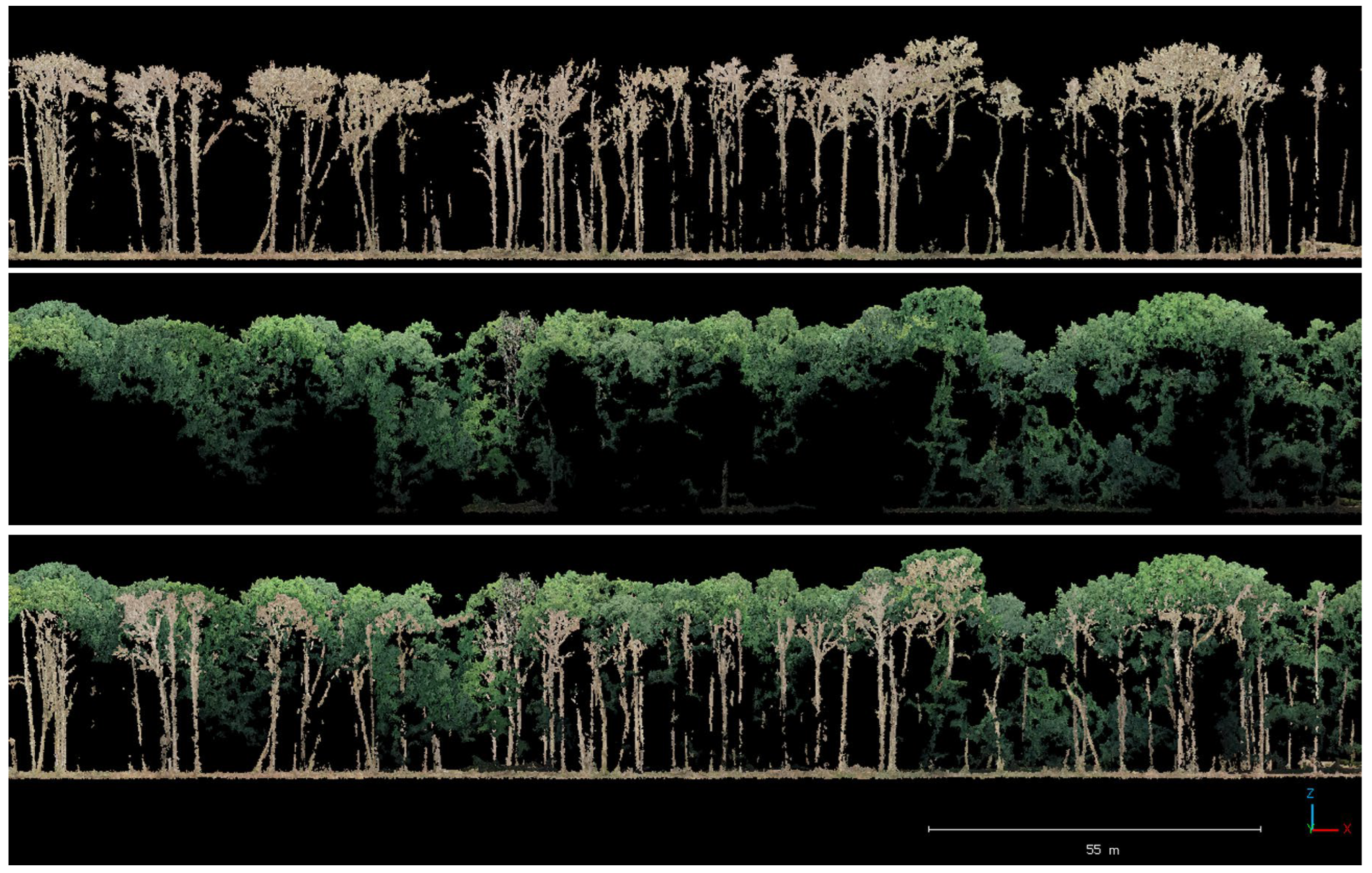 Tree Stem Detection and Crown Delineation in a Structurally Diverse ...