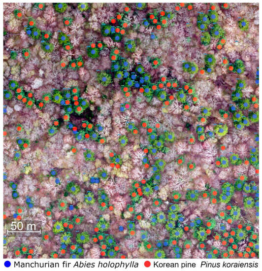 Remotesensing 15 04394 g0a6