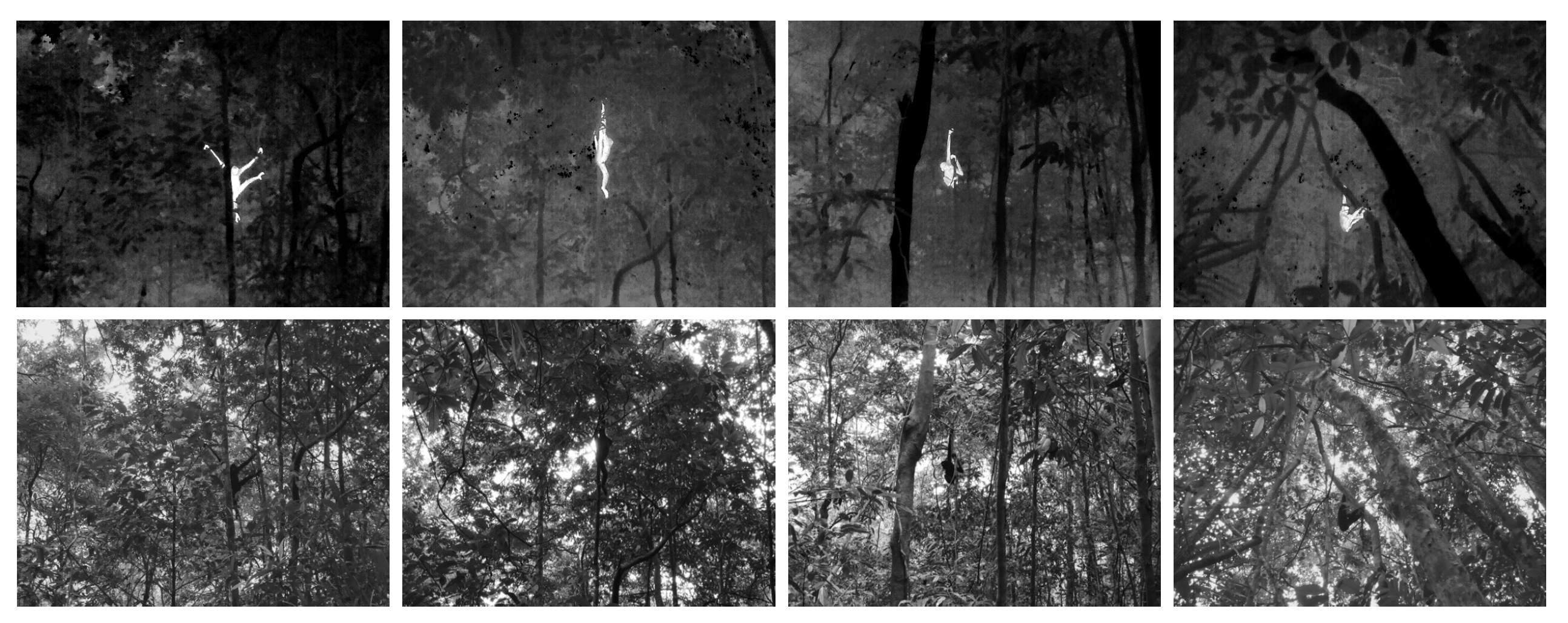 Remotesensing 15 04467 g004