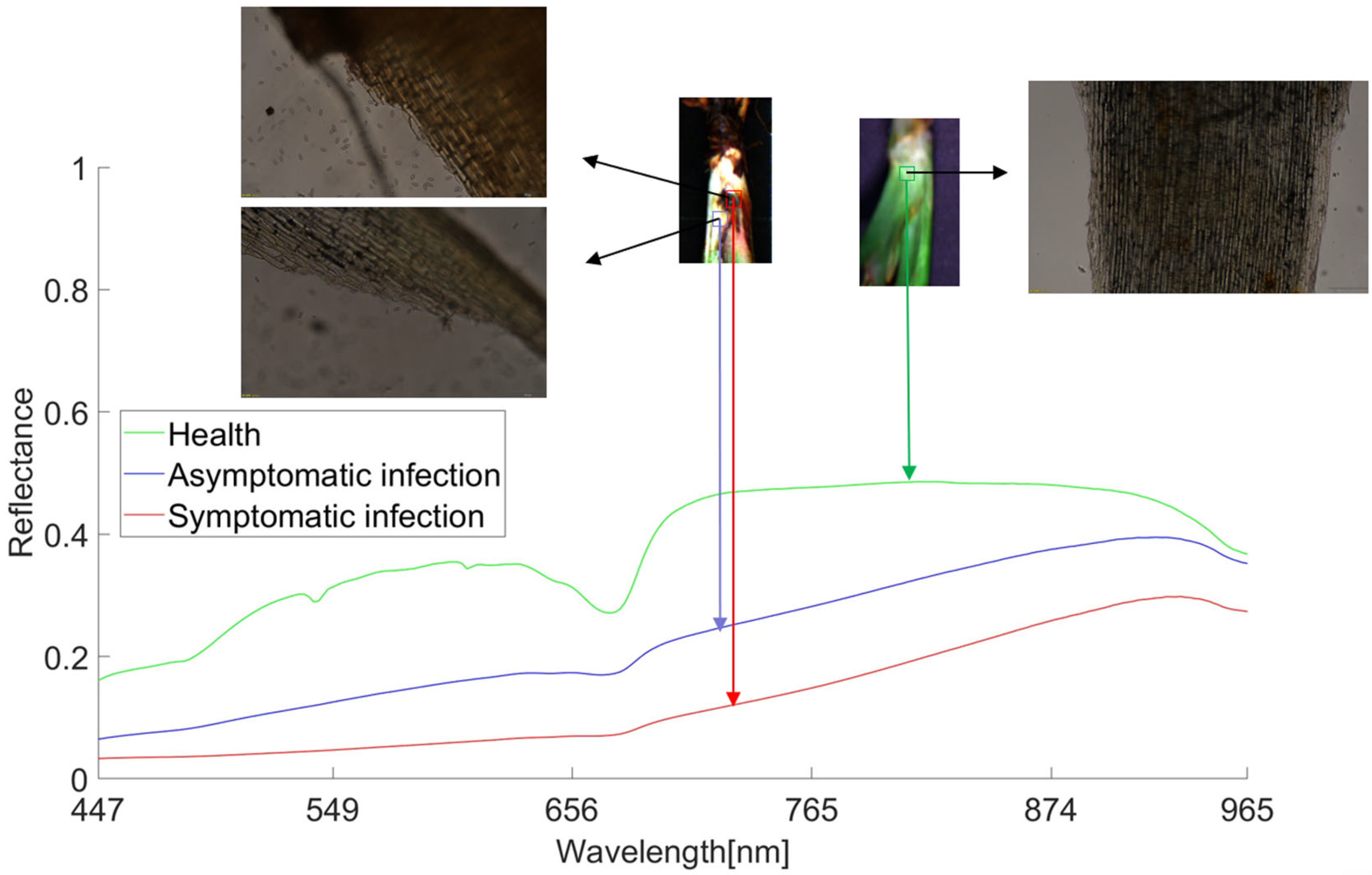 Remotesensing 15 04640 g006
