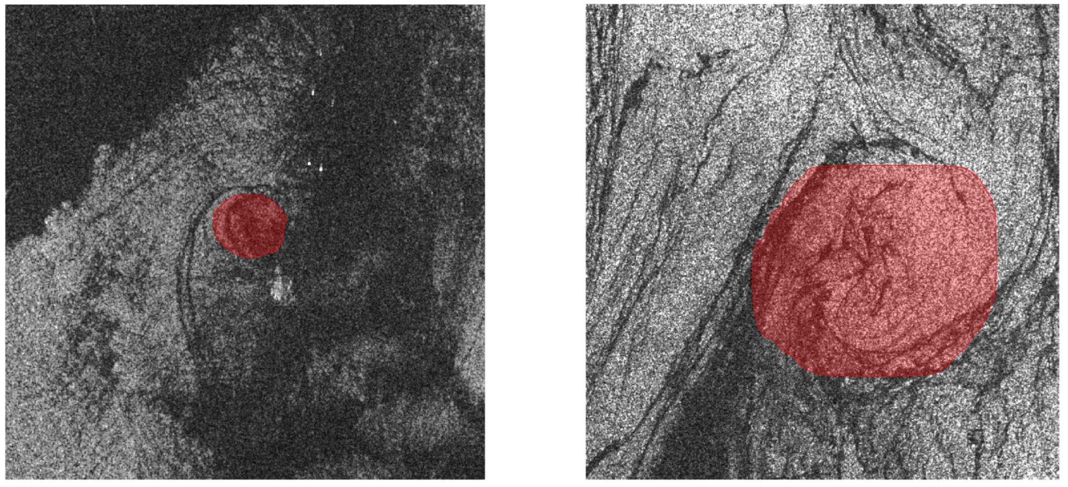 Remotesensing 15 04752 g006a