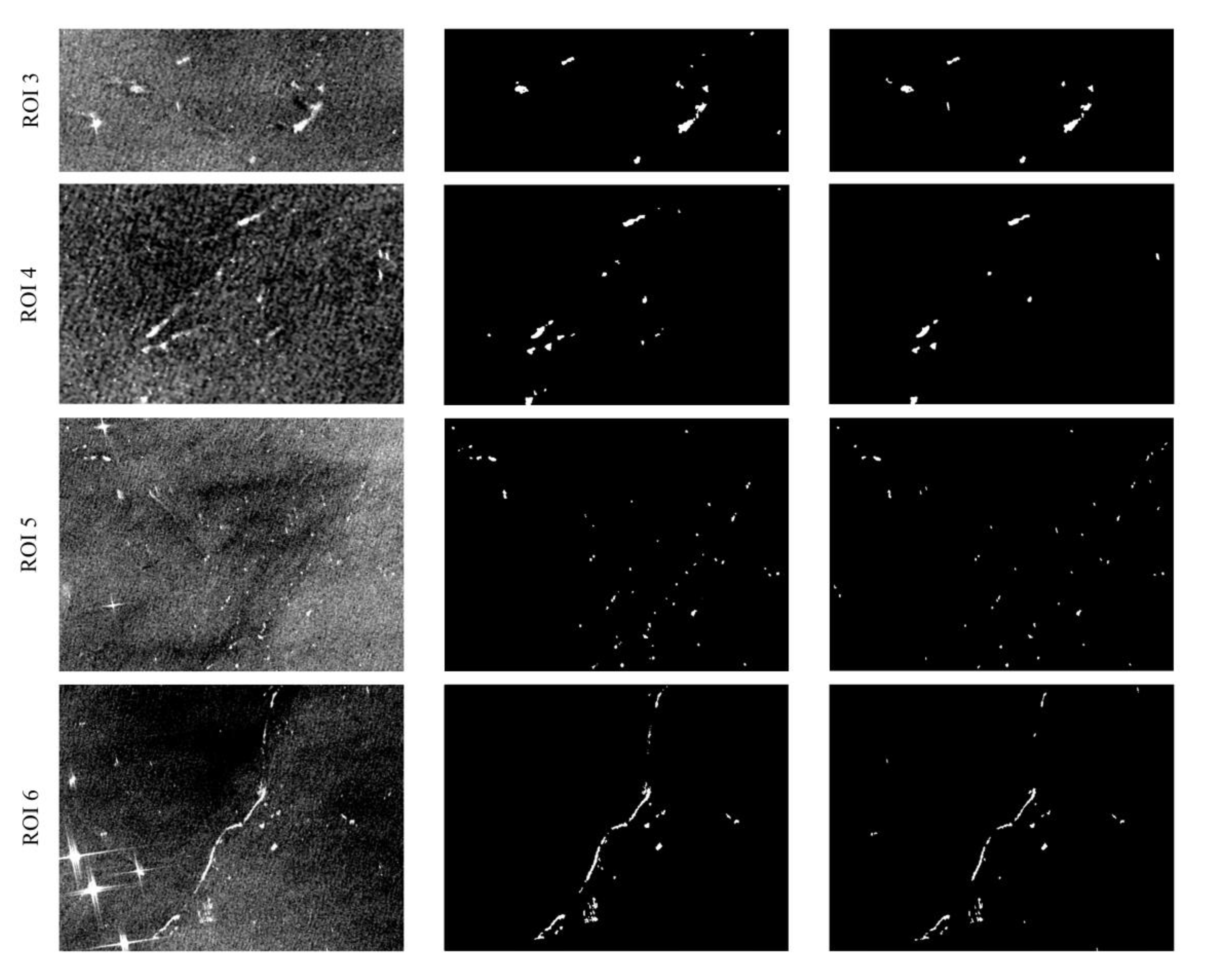 Remotesensing 15 04764 g006c