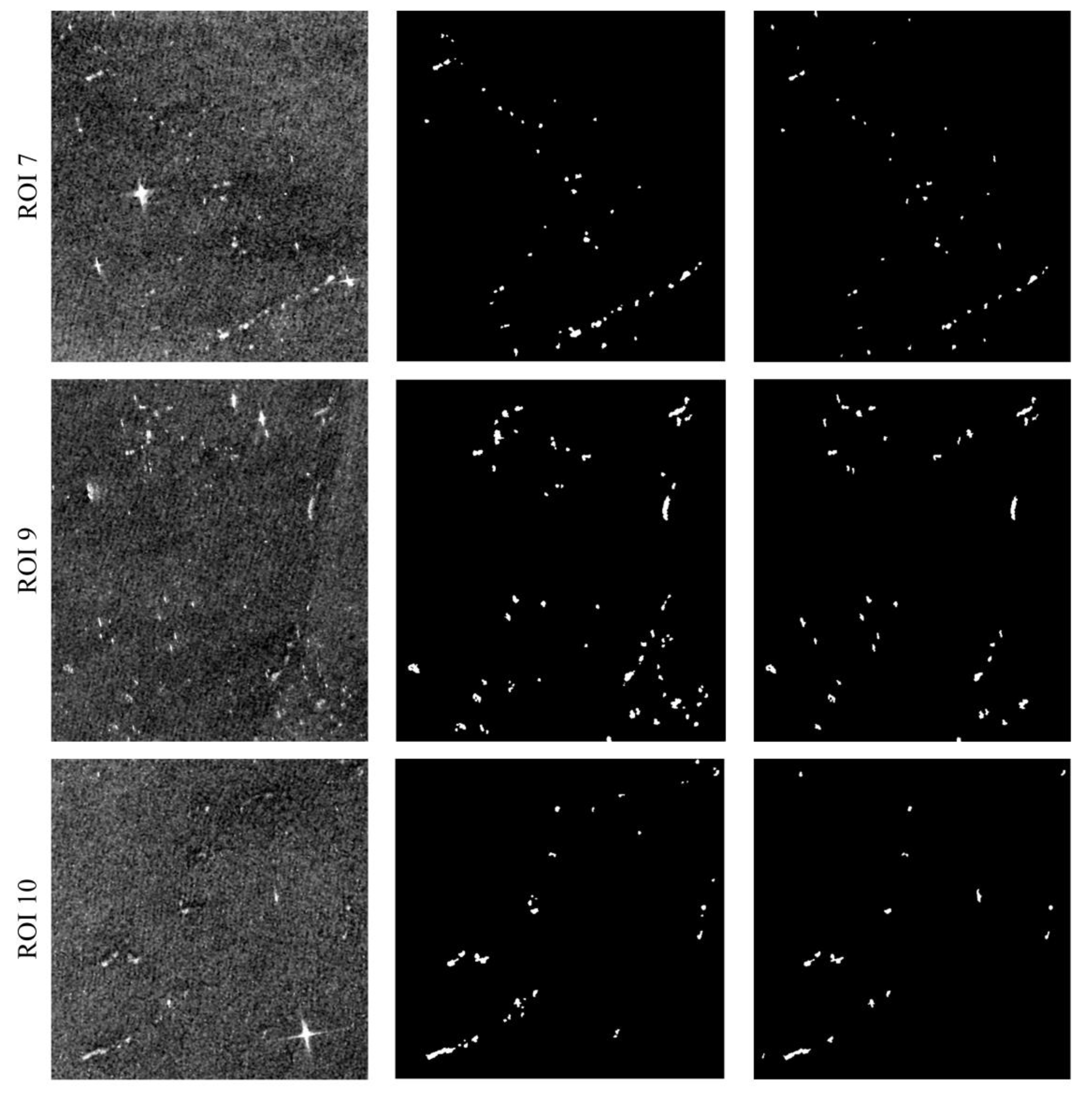 Remotesensing 15 04764 g006d