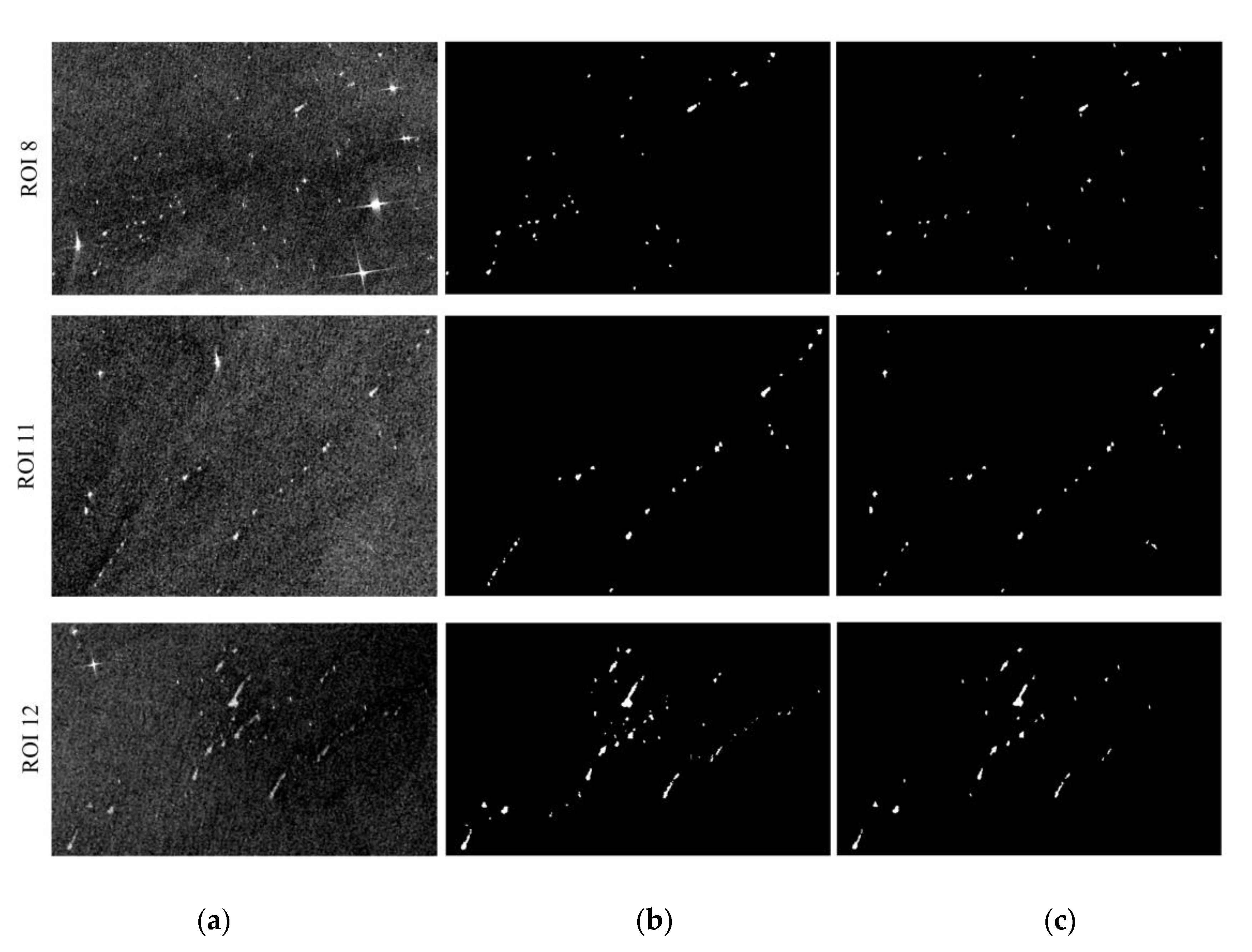 Remotesensing 15 04764 g006e