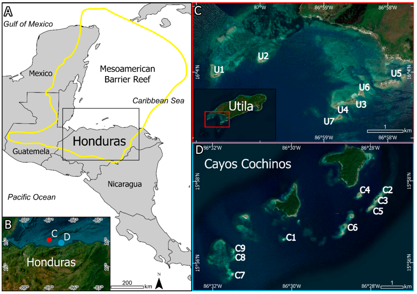 Remotesensing 15 04787 g001 Remotesensing 15 04787 g001