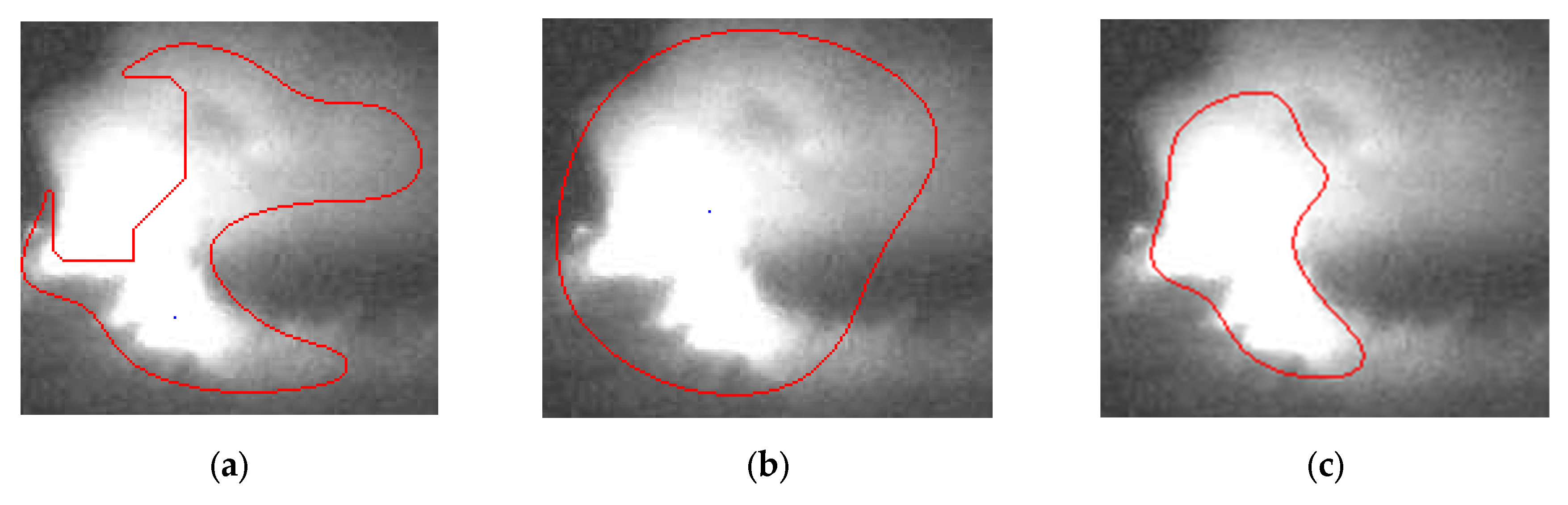 Remotesensing 15 04815 g004