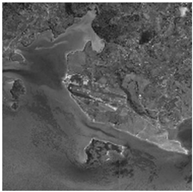 Remotesensing 15 04860 i038