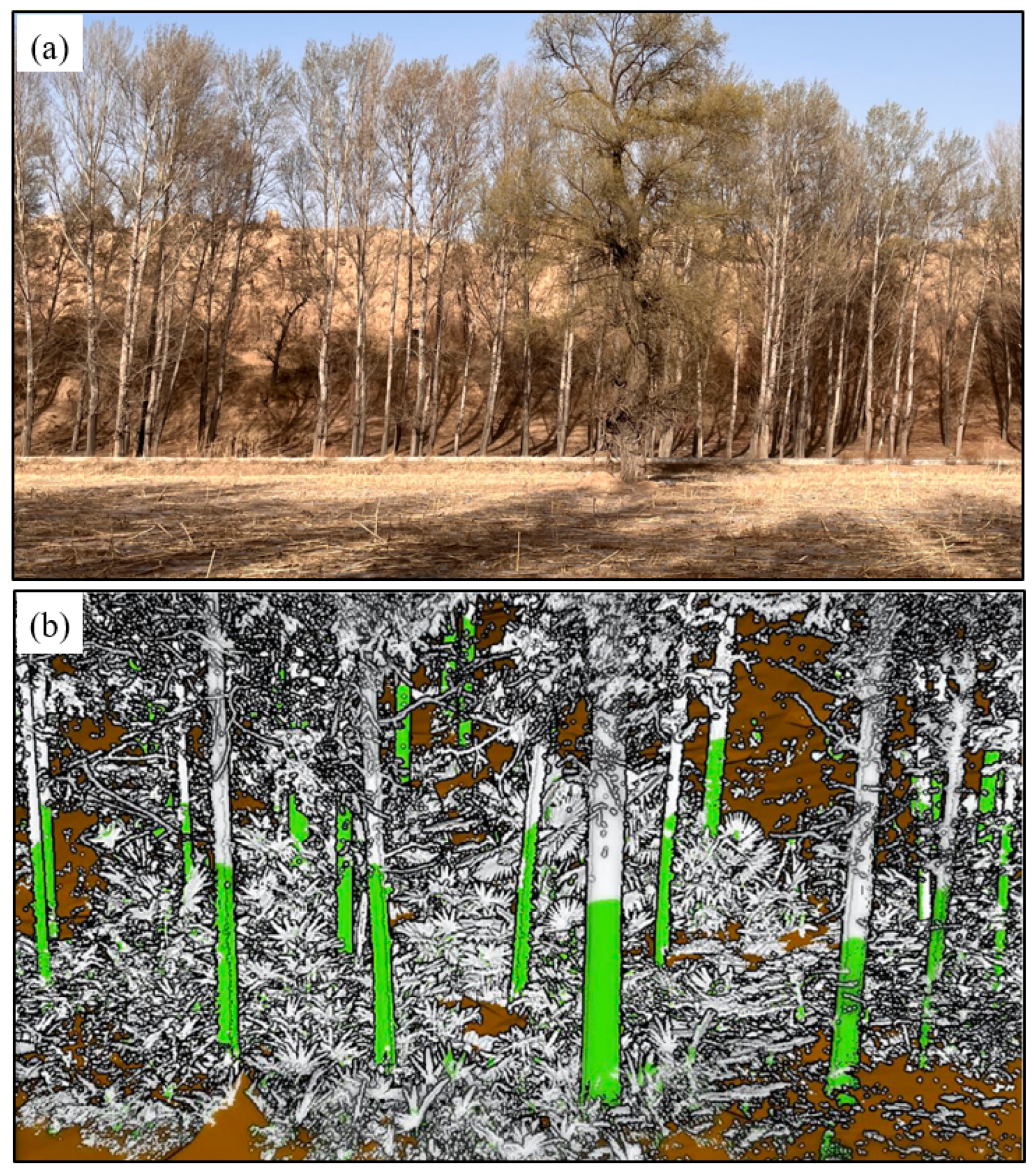 Remotesensing 15 04862 g013