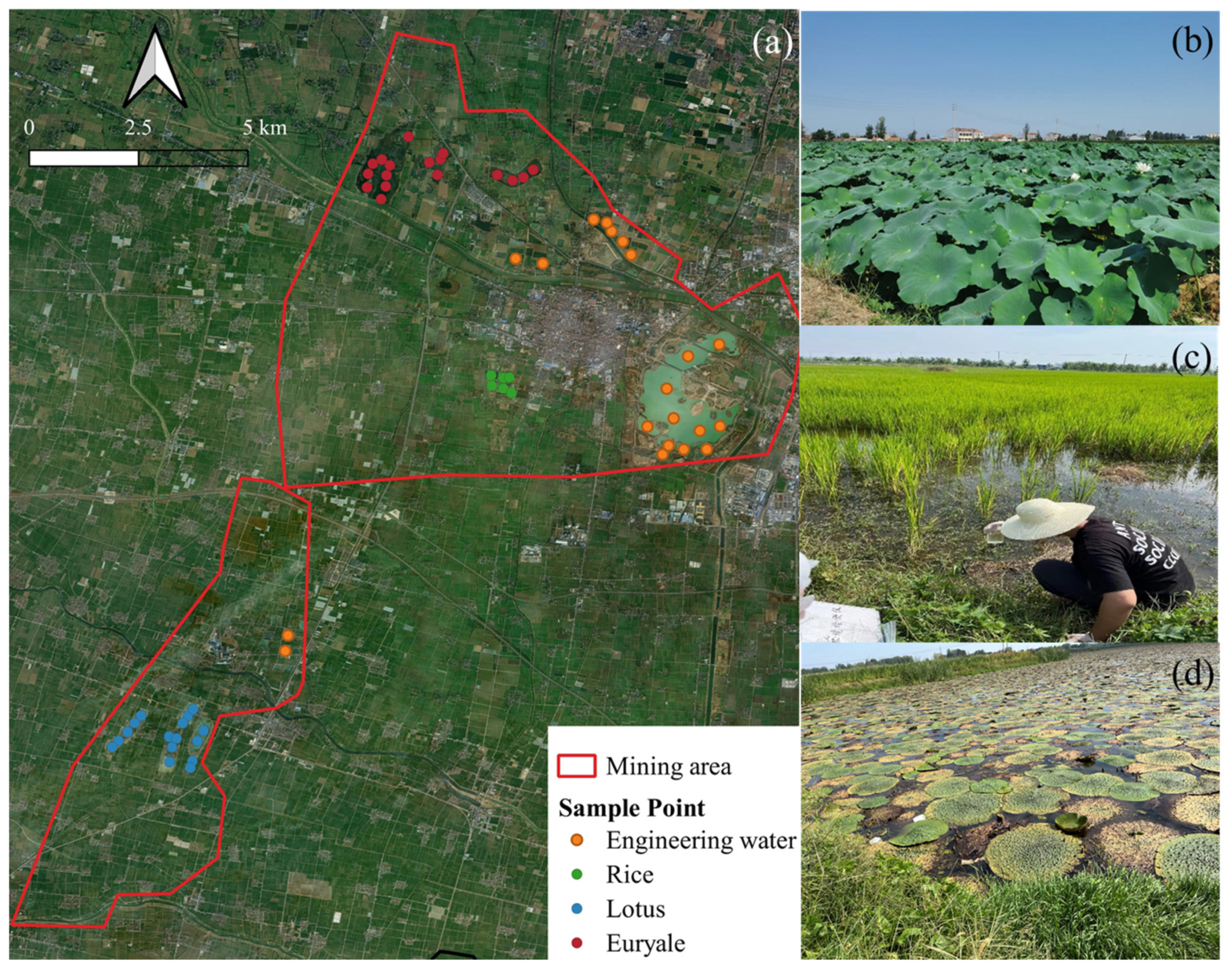 Remotesensing 15 05095 g002