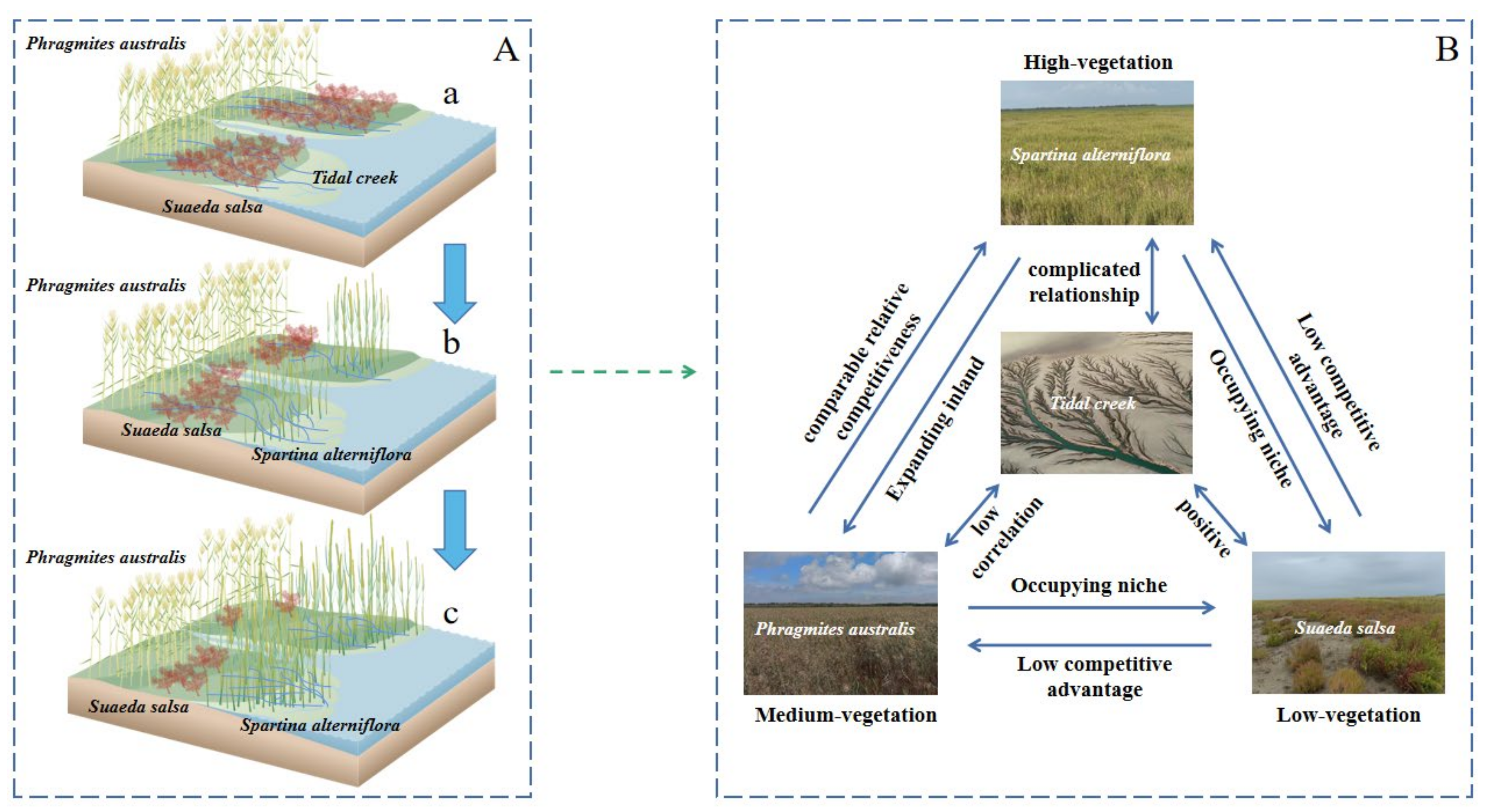 Remotesensing 15 05107 g012